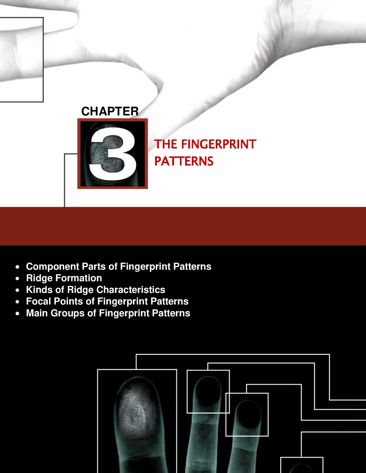 chapter-3-the-fingerprint-patterns-chapter-the-fingerprint-patterns