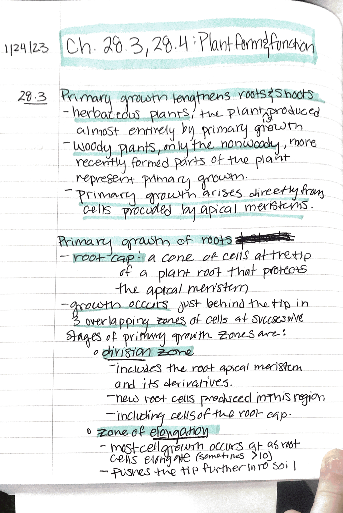 Ch. 28.3,28.4 - Plant Form And Function - BI 222 - Studocu