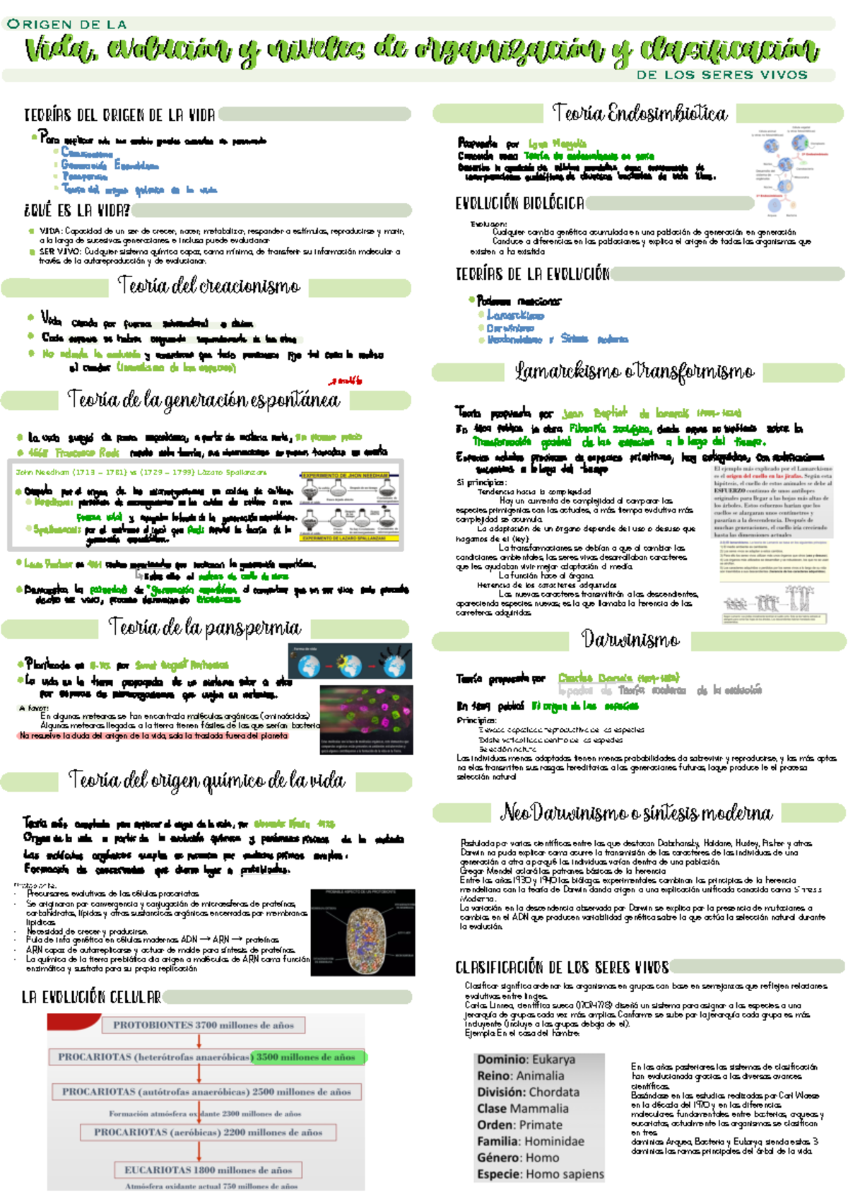 Tema 1 Biología ORIGEN DE LA VIDA, TEORÍAS Y EVOLUCIÓN - Protobionte ...