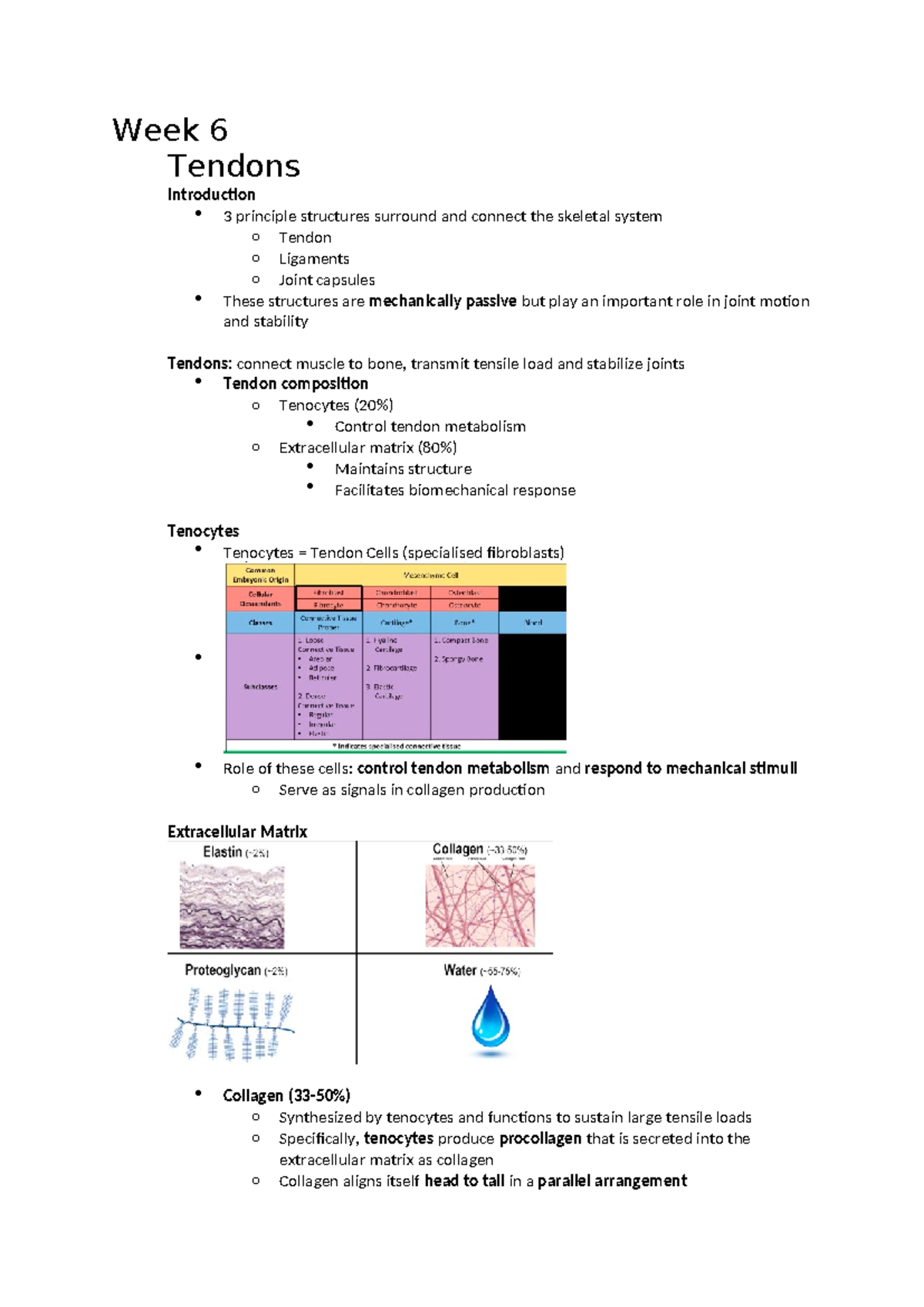 FA Quiz 2 notes - Week 6 Tendons Introduction 3 principle structures ...