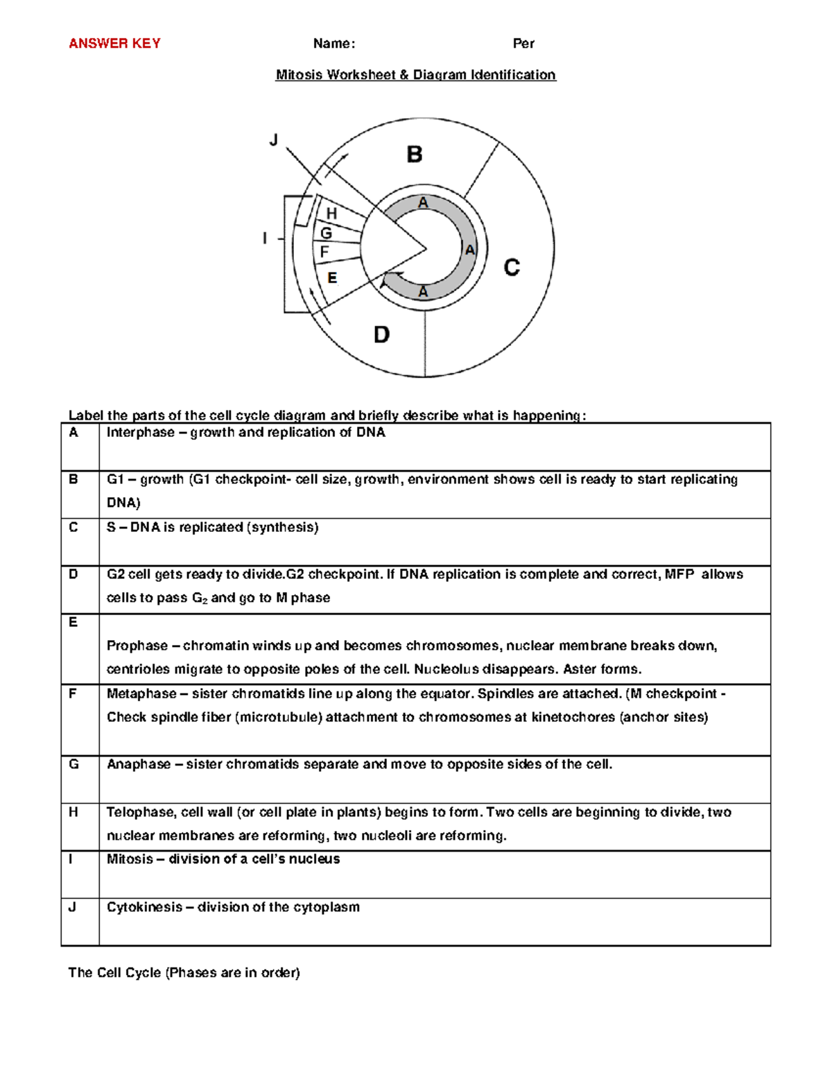 Mitosis Worksheet KEY njkelwbqfgklberivlbiqt;bguietabnv;aenvje - ANSWER KEY  Name: Per Mitosis - Studocu