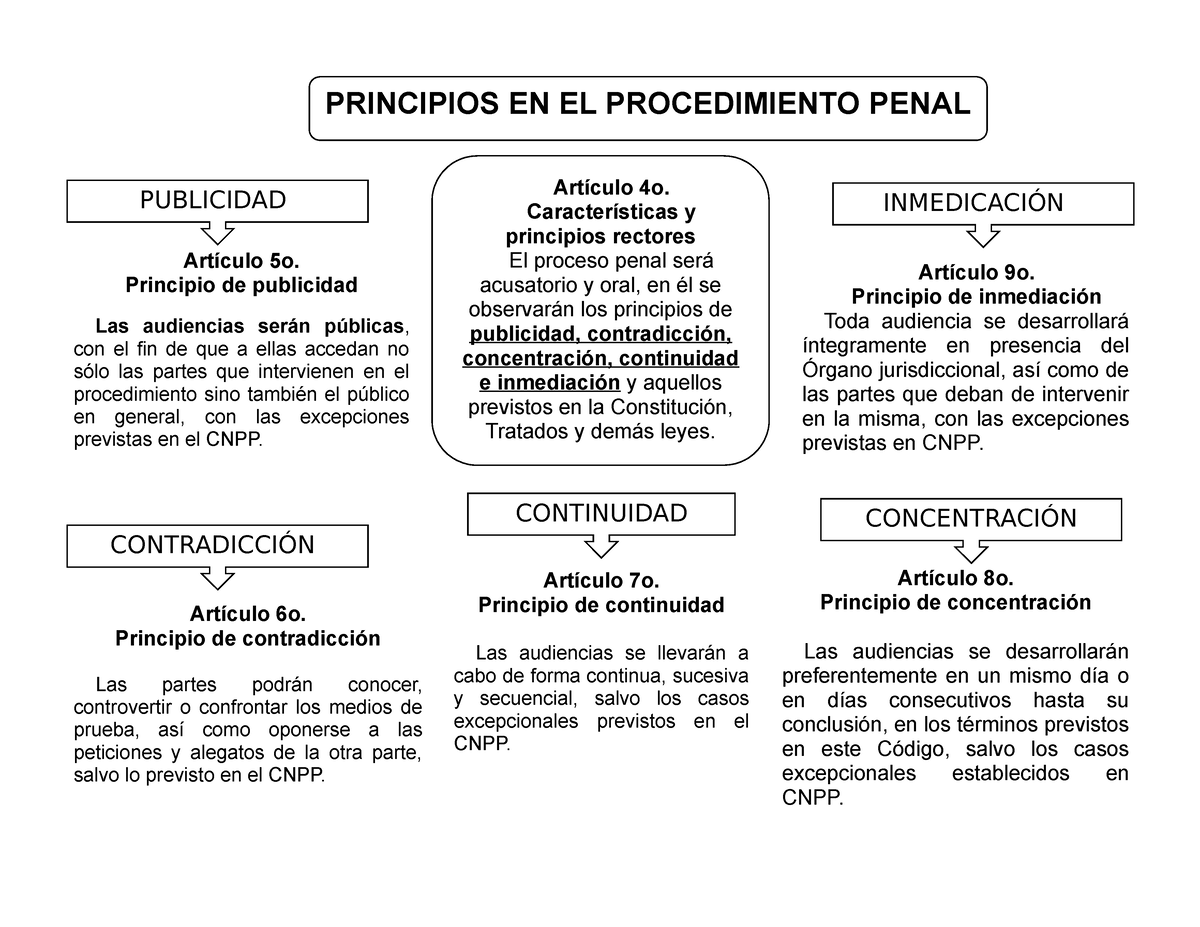Principios De Dpp Principios En El Procedimiento Penal Artículo 7o Principio De Continuidad 5149