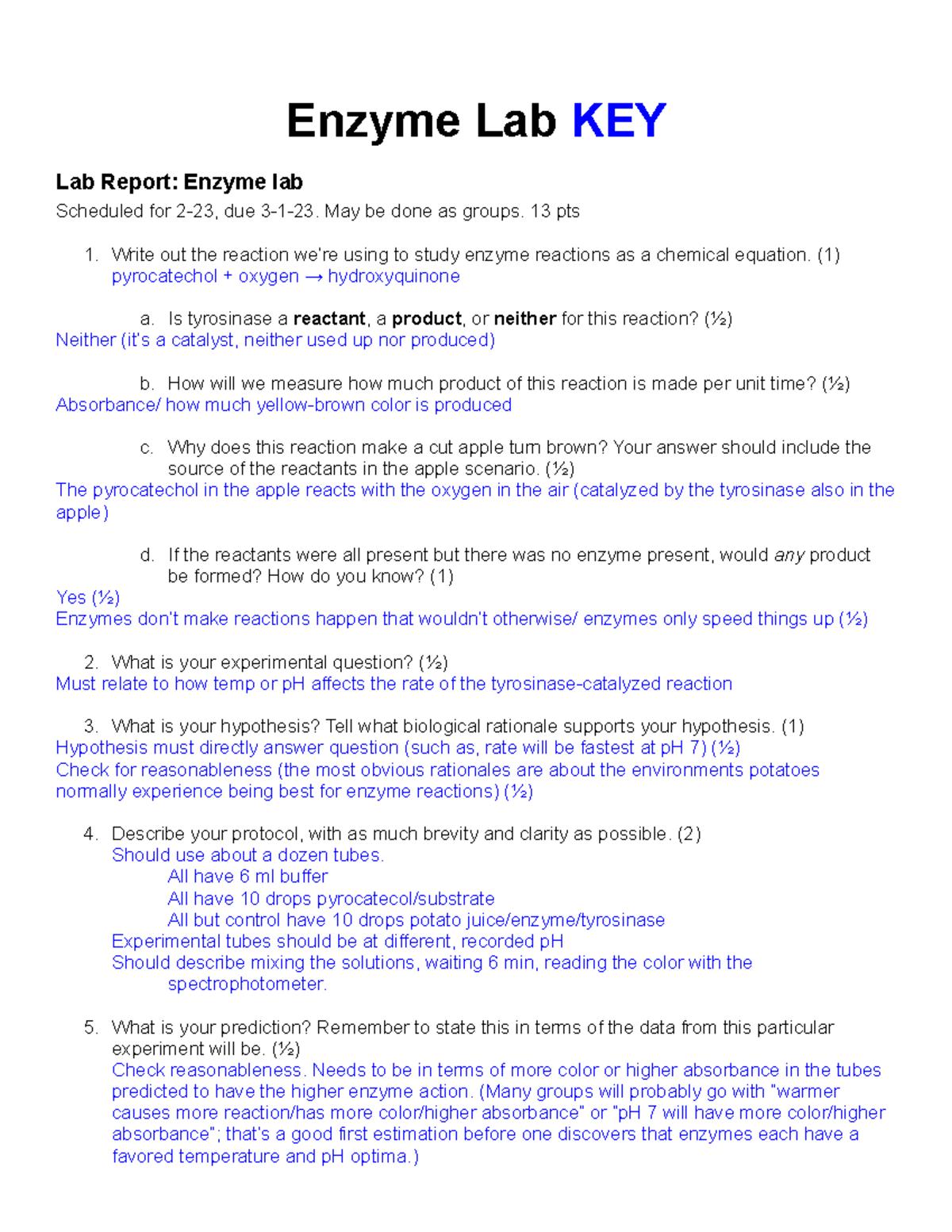 Enzyme lab key 2023 Sp Bio Enzyme Lab KEY Lab Report Enzyme lab