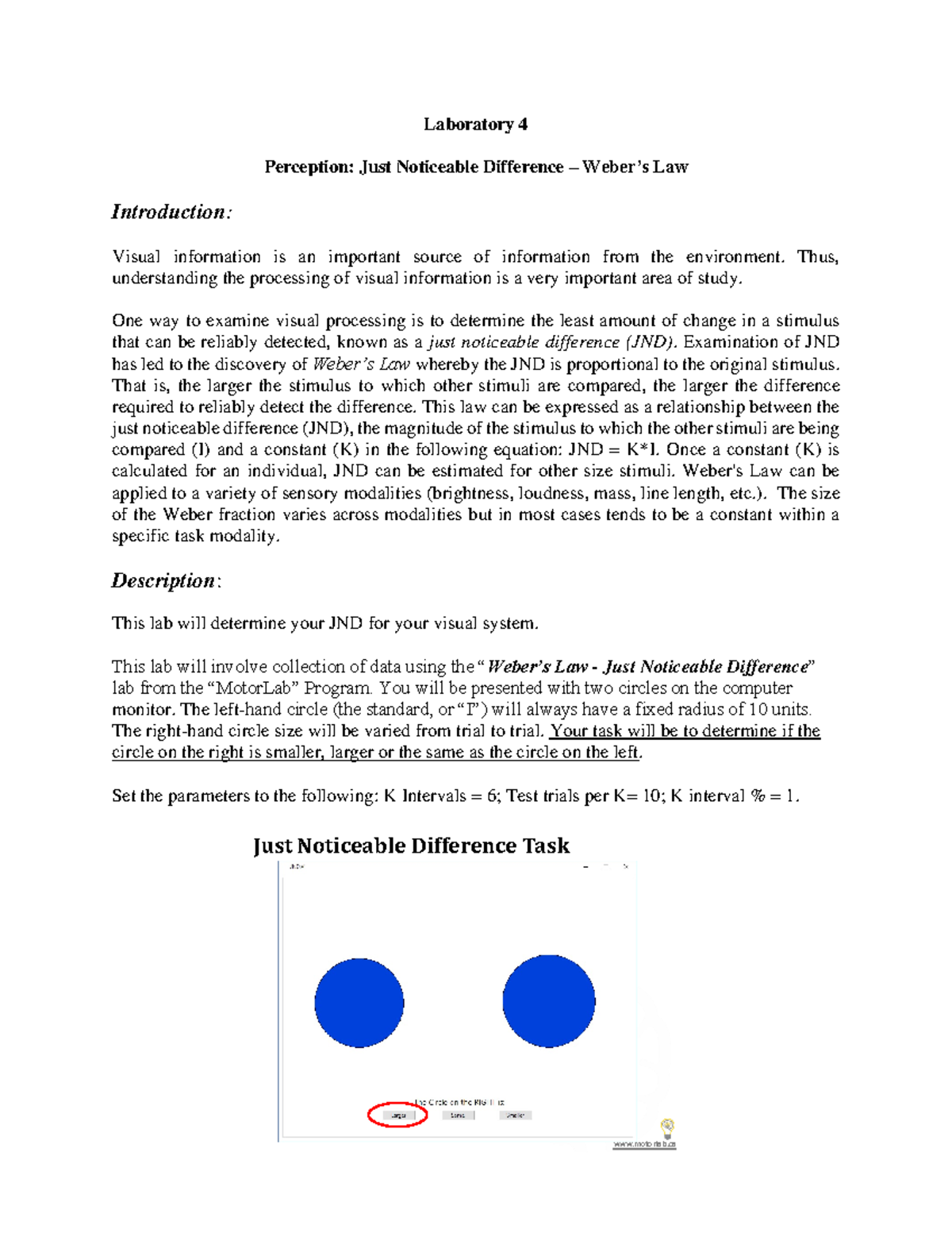 Laboratory 4 - Thus, understanding the processing of visual information ...