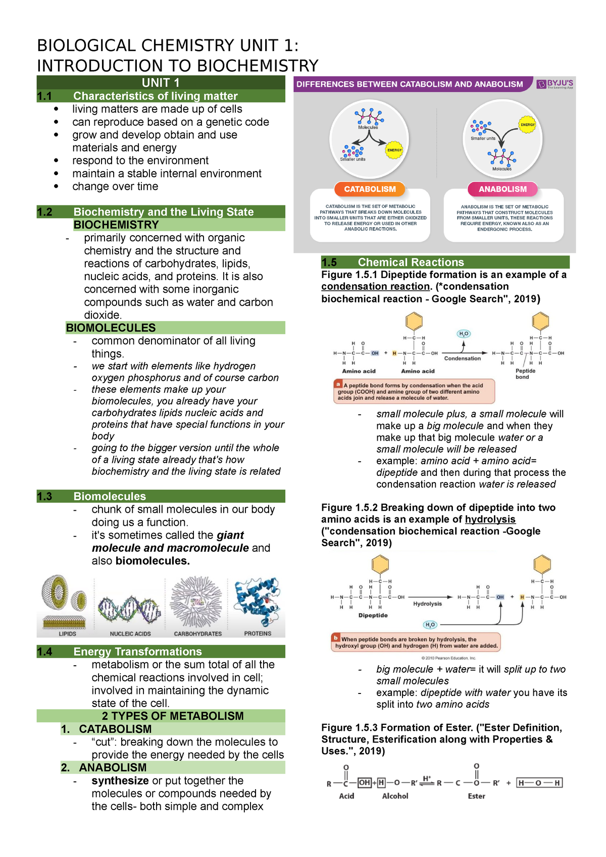 Biochem Trans UNIT1 - BIOLOGICAL CHEMISTRY UNIT 1: INTRODUCTION TO ...