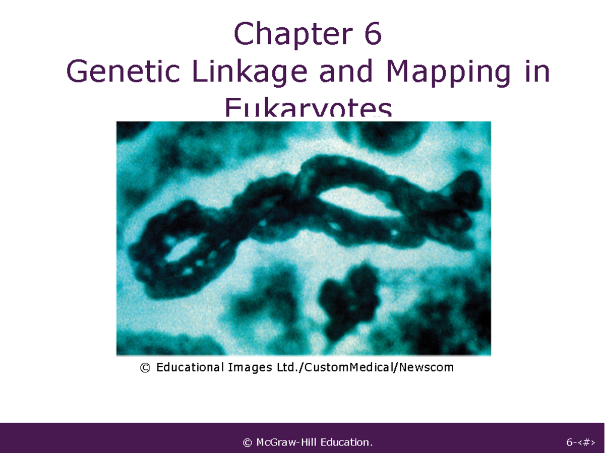 -Chapter 6-sum23 - Ch 6 slides - Chapter 6 Genetic Linkage and Mapping ...