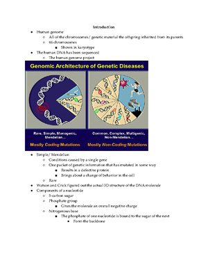 Chapter 13 Notes - Summary Genetics And Health - Chapter 13 Notes Slide ...