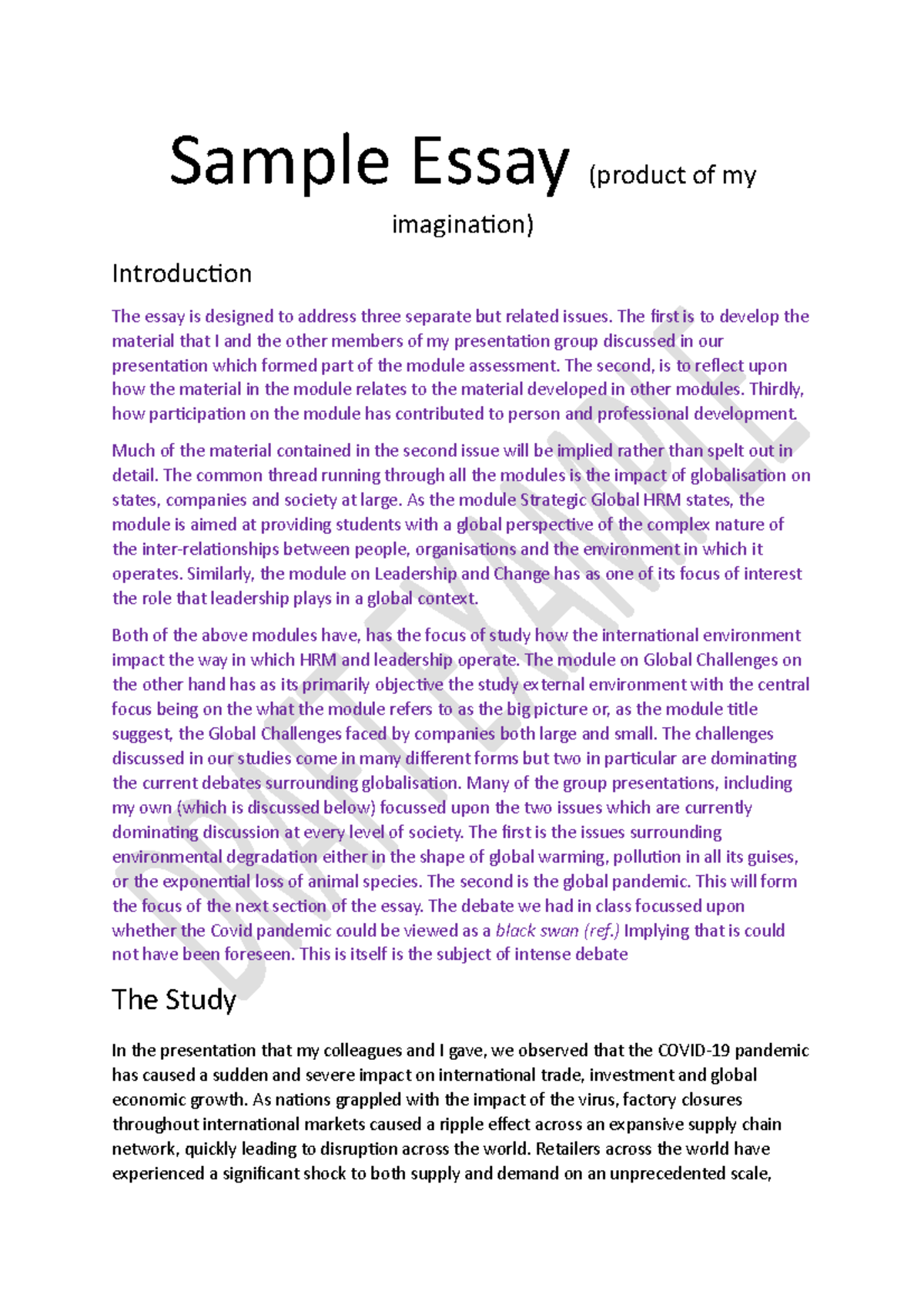 Essay sample - assignments - Sample Essay (product of my imagination ...