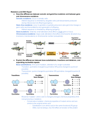 GENE 3200 Exam 3 Study Guide - DNA Structure and Chromatin List the ...