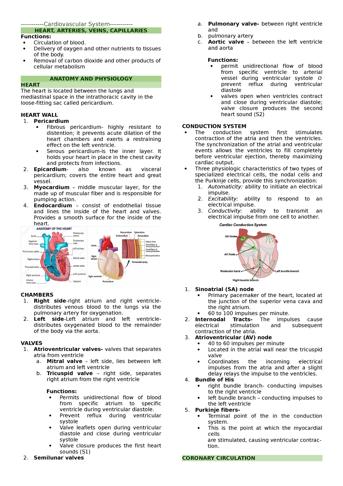 MS Cardio -Cardiovascular System- HEART, ARTERIES, VEINS, CAPILLARIES ...