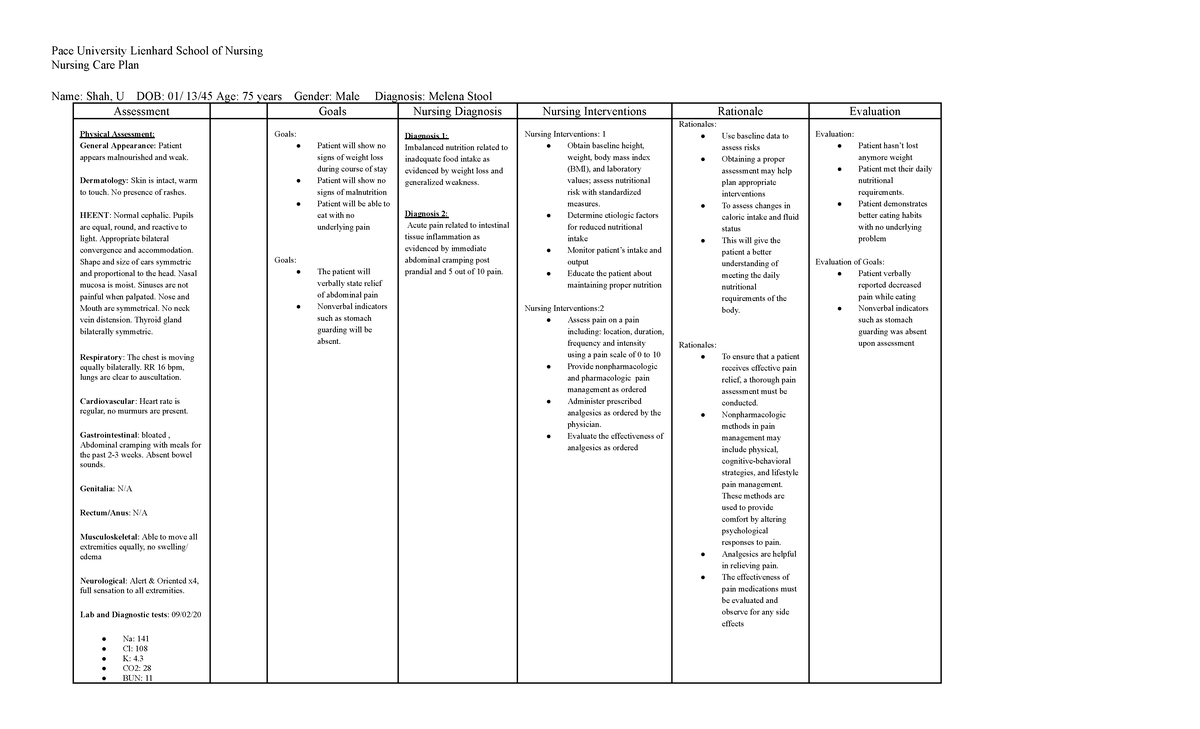 Nursing Care Plan med surg - Pace University Lienhard School of Nursing ...