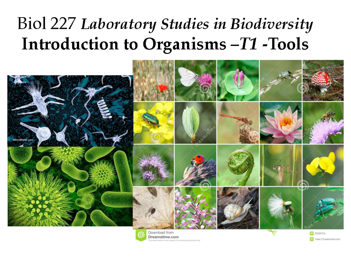 T1 Biol 227 W19 Tools - Biol 227 Laboratory Studies In Biodiversity ...