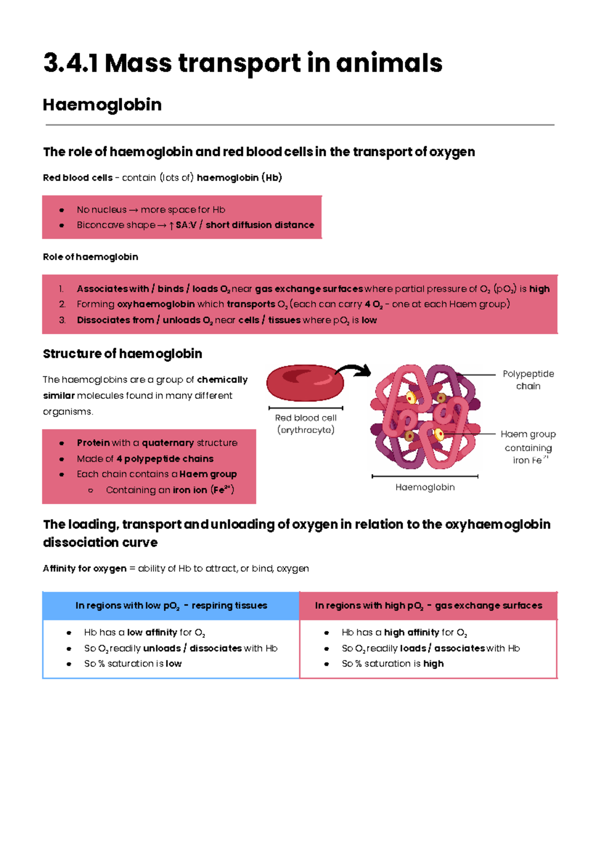 NEW Mass transport in animals haemoglobin - 3.4 Mass transport in ...