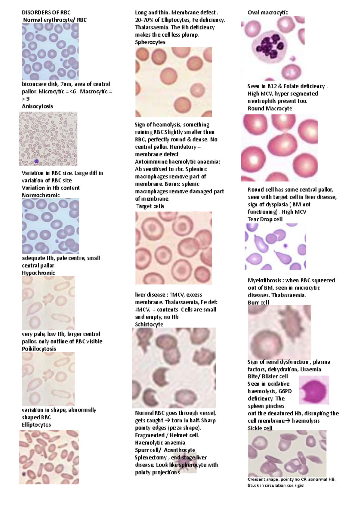 Rbc Disorders Summary - Disorders Of Rbc Normal Rbc Long And Thin 