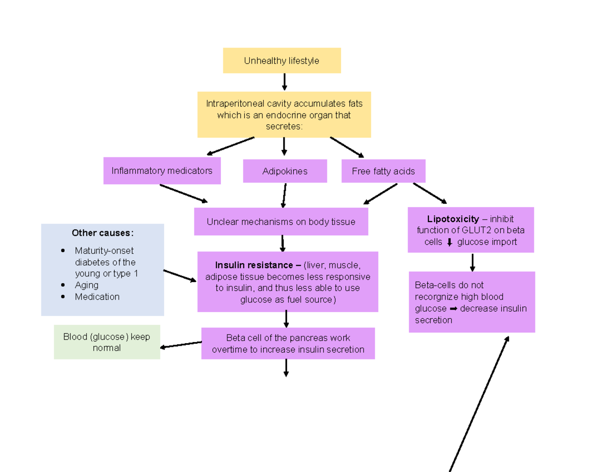 Patho of DM lead into CKD - Unhealthy lifestyle Intraperitoneal cavity ...
