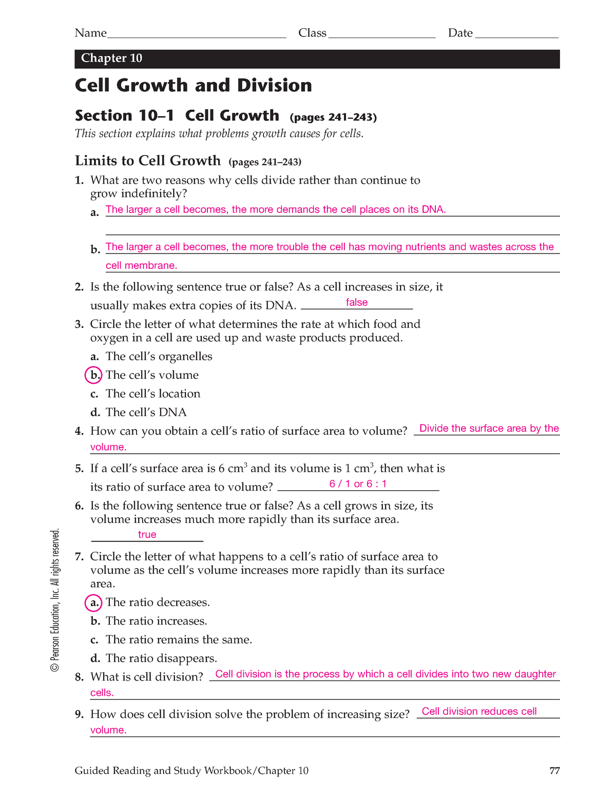 Cell Growth And Division Guided Reading And Study Workbook- Answers ...