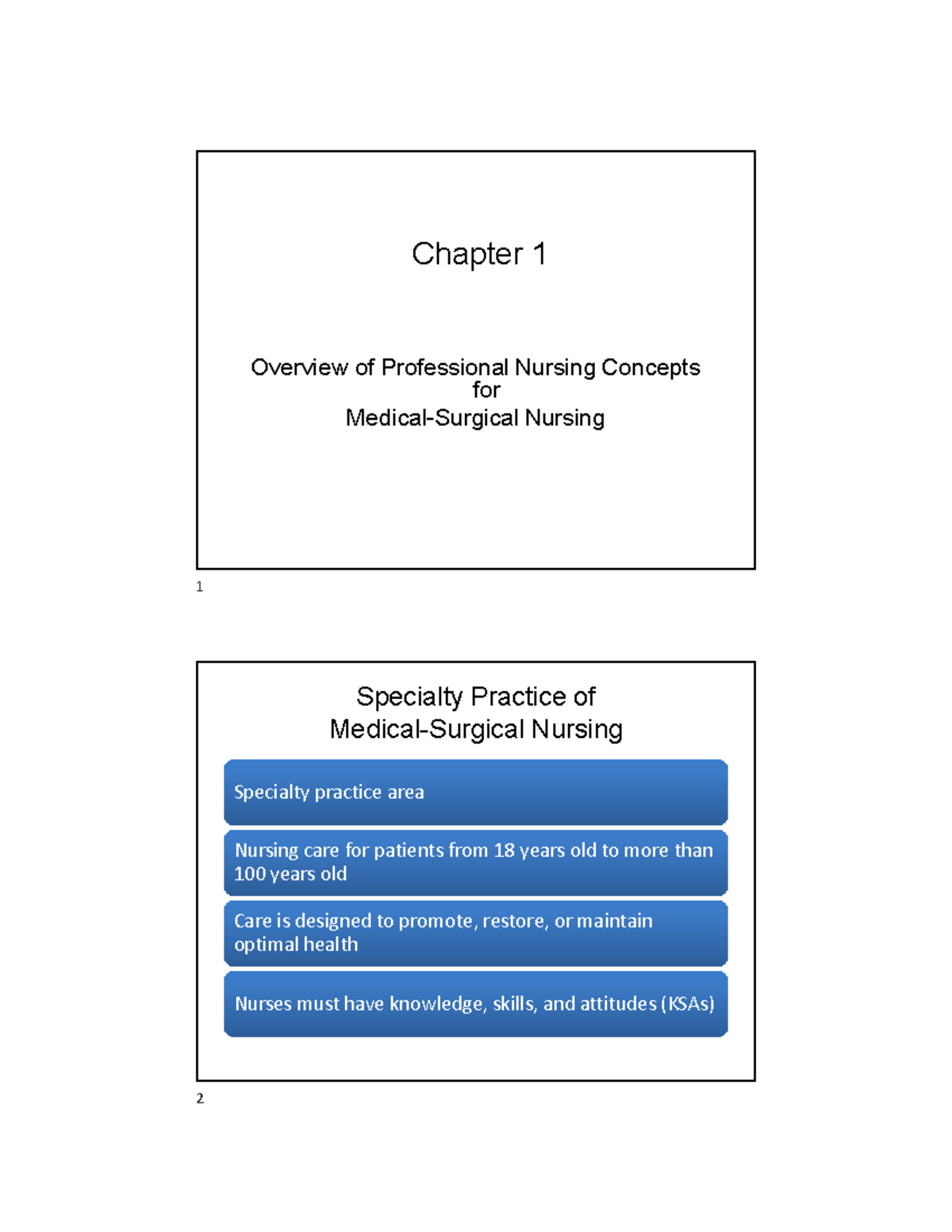 Chapter 1 student notes Overview of Professional Nursing Concepts