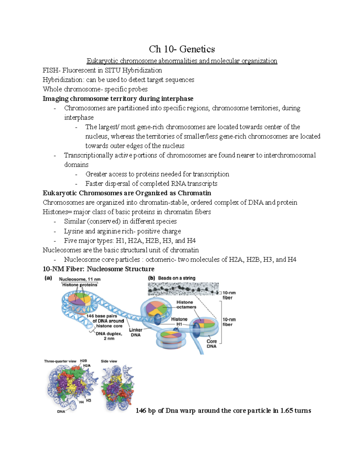 Ch 10- Genetics - Lecture notes 10 - BIOL 300 - University of Nevada ...