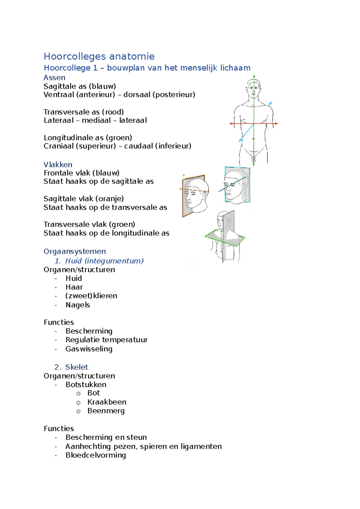 Hoorcolleges+samenvatting Practica Anatomie - Hoorcolleges Anatomie ...