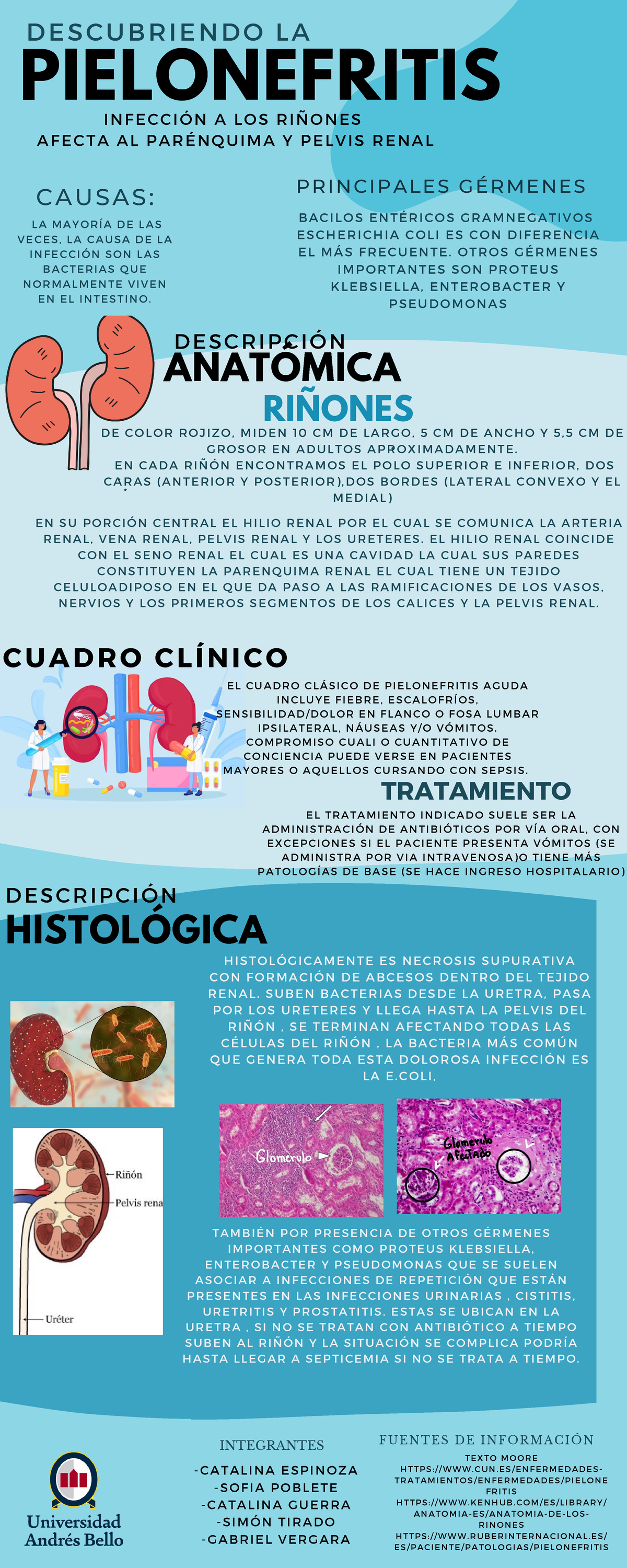 Pielonefritis Infografía - D E C O L O R R O J I Z O , M I D E N 1 0 C ...