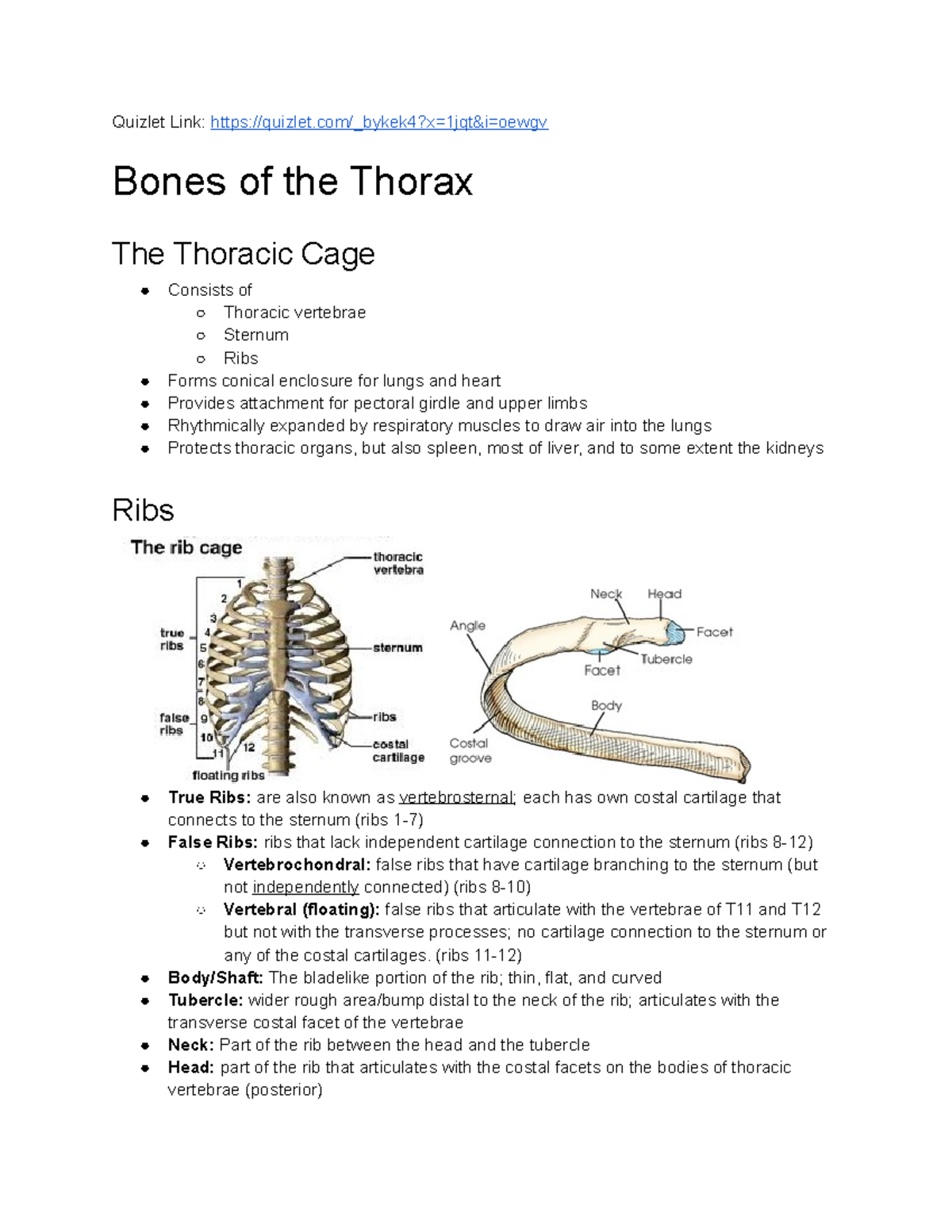 Lab Lecture 3 Bones of Thorax Upper Extremity Quizlet Link quizlet/_bykek4?x=1jqt&i=oewgv