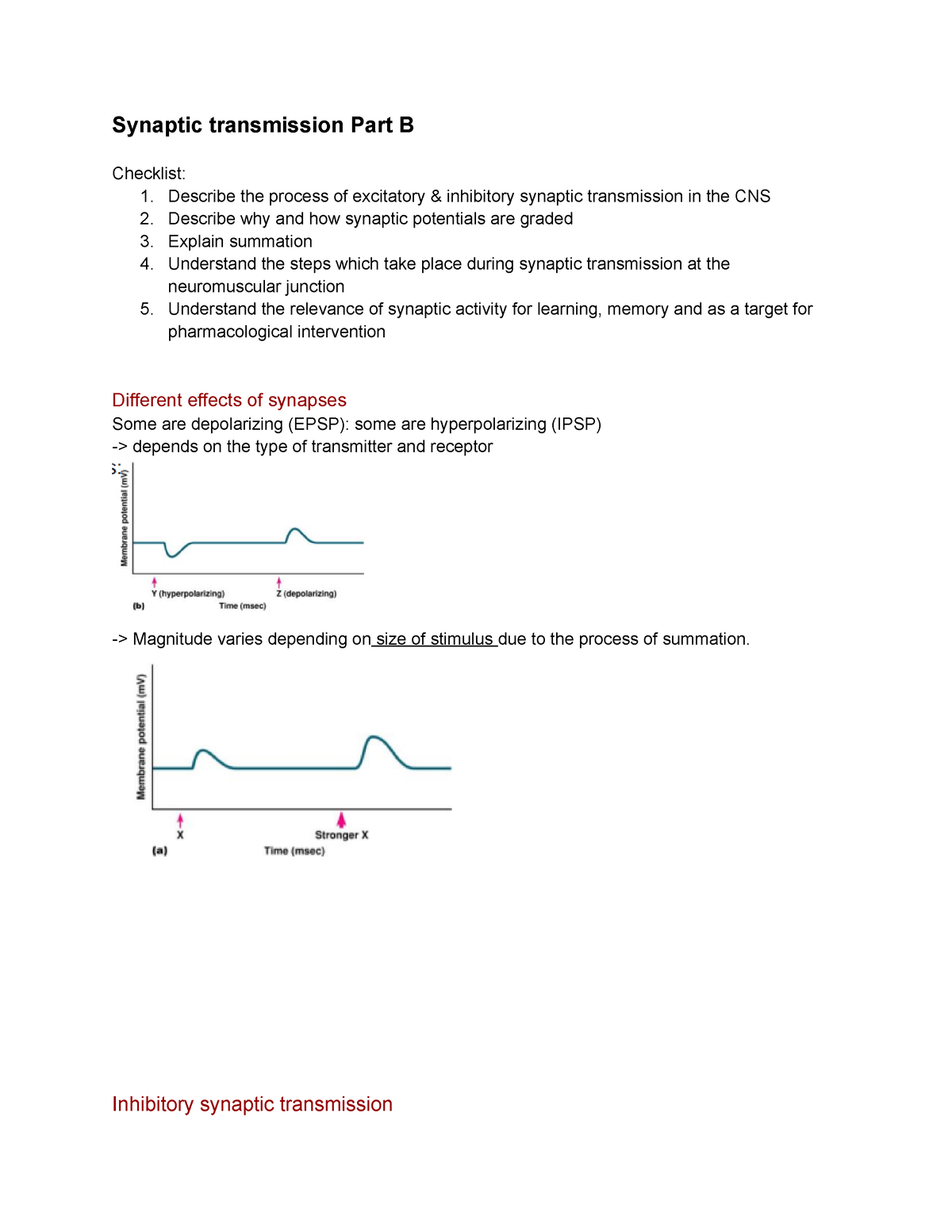 Synaptic Transmission Part B - Synaptic Transmission Part B Checklist ...