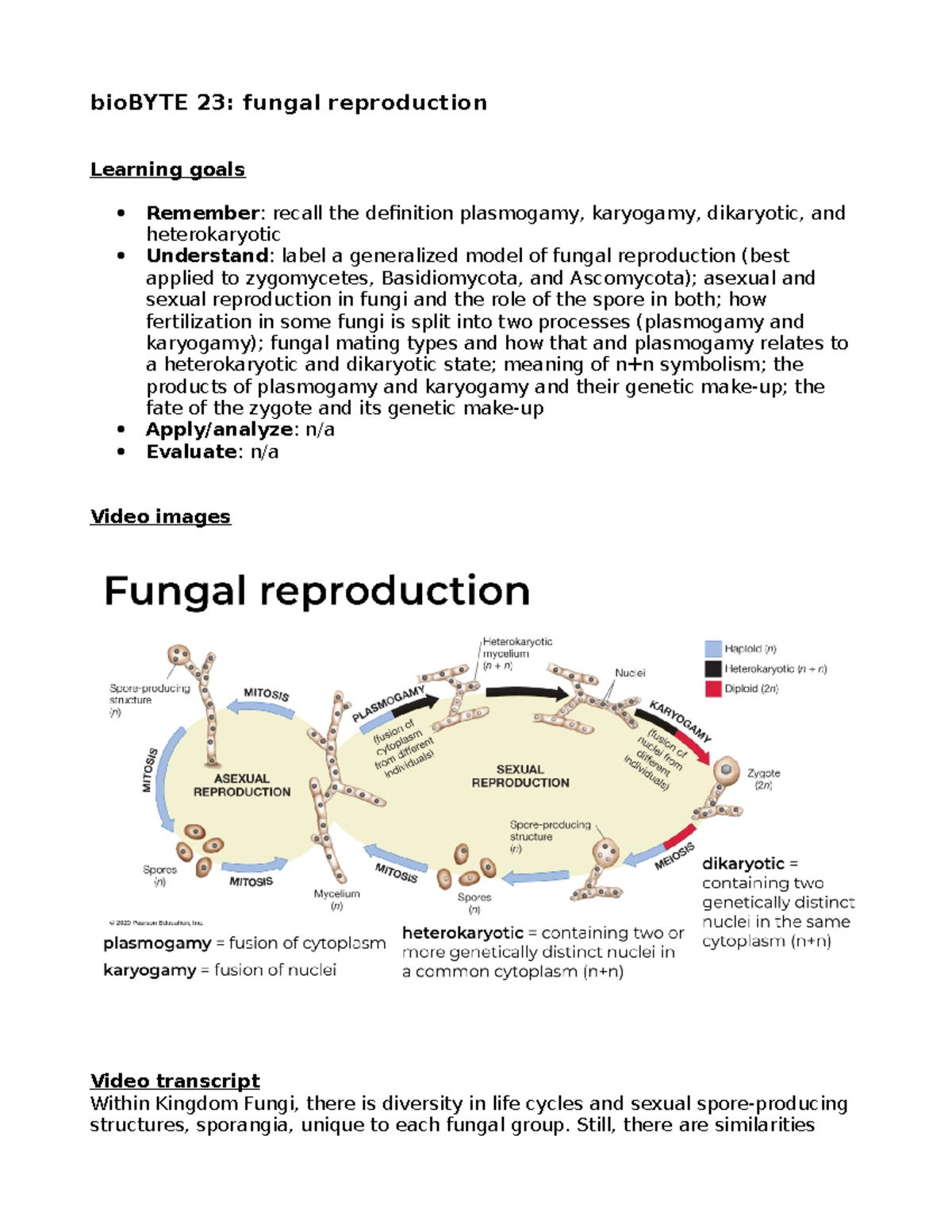 1802.Notes Guide.bio BYTE 23 - BioBYTE 23: Fungal Reproduction Learning ...