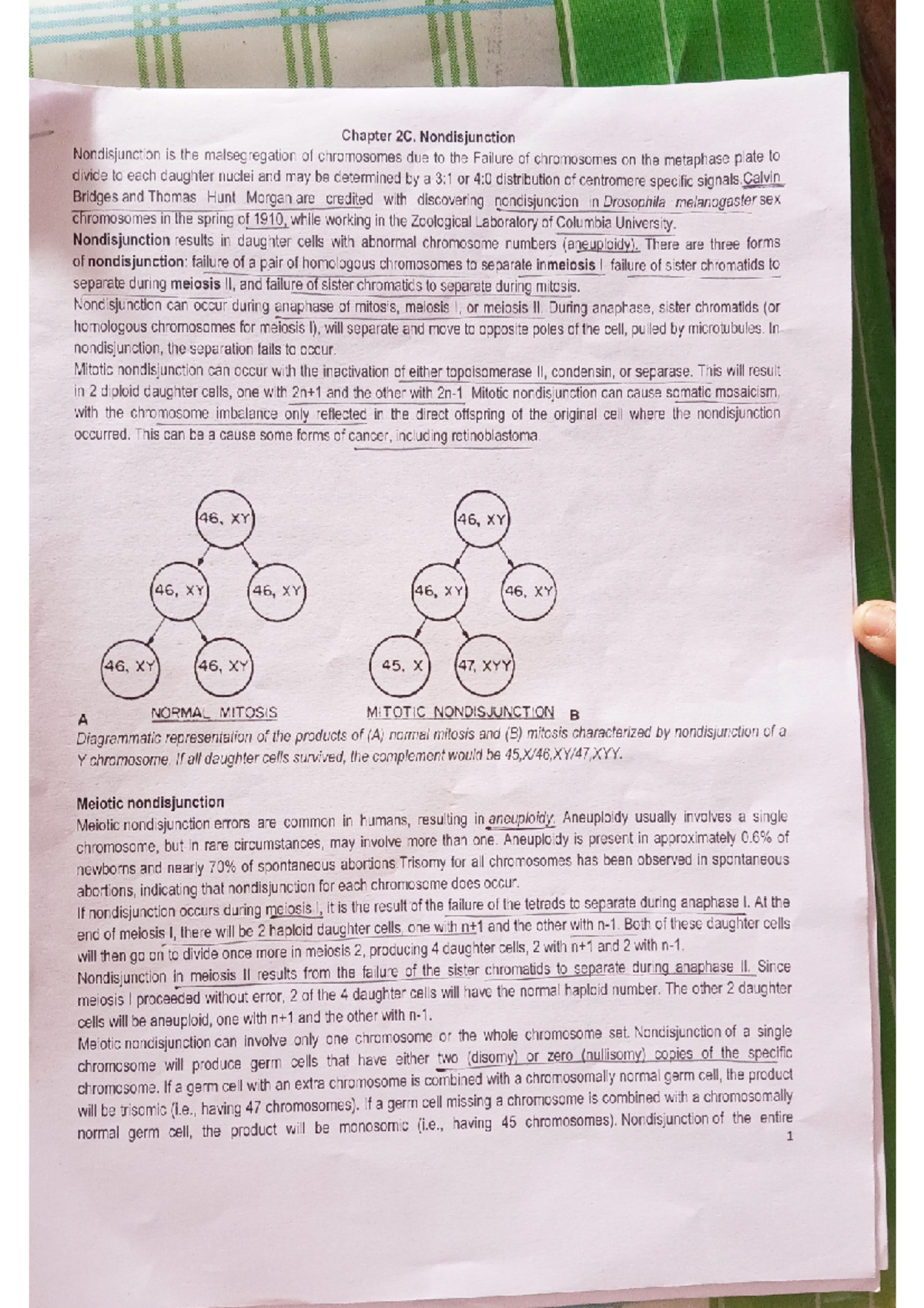 Human genetics 3 - It is lecture notes - Bsc zoology - Studocu
