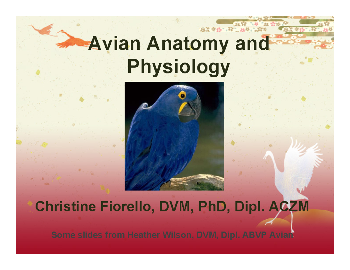 Avian anatomy and physiology Avian Anatomy and Physiology Christine
