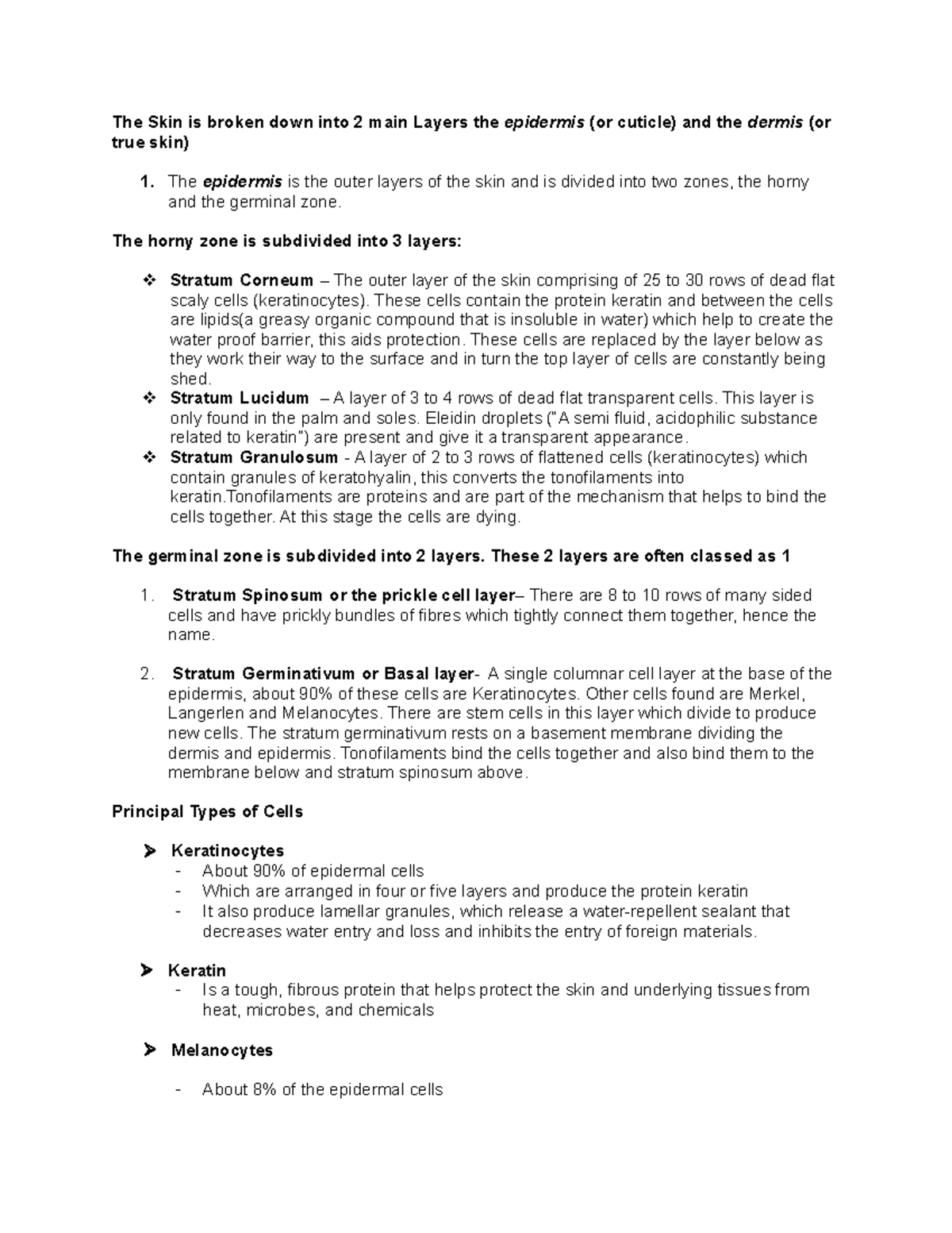 Anatomy Physiology Kinesiology 1 The Skin is broken down into 2 main