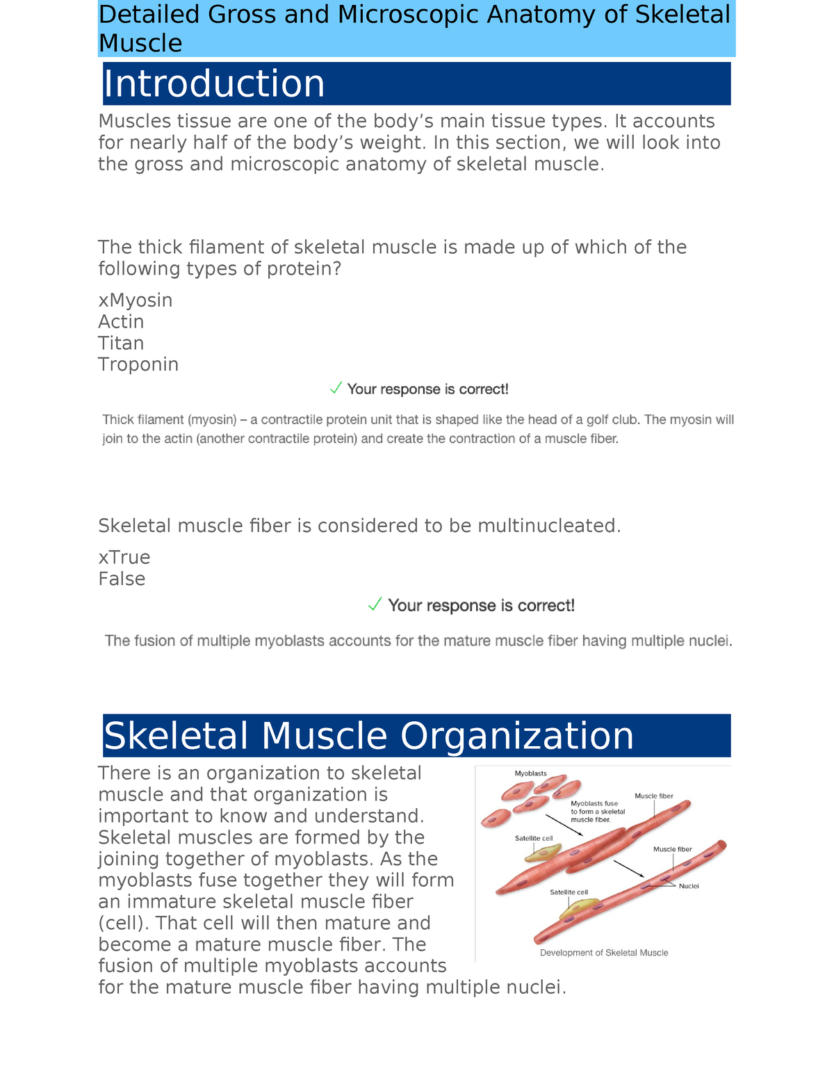 Detailed Gross and Microscopic Anatomy of Skeletal Muscle - Detailed ...