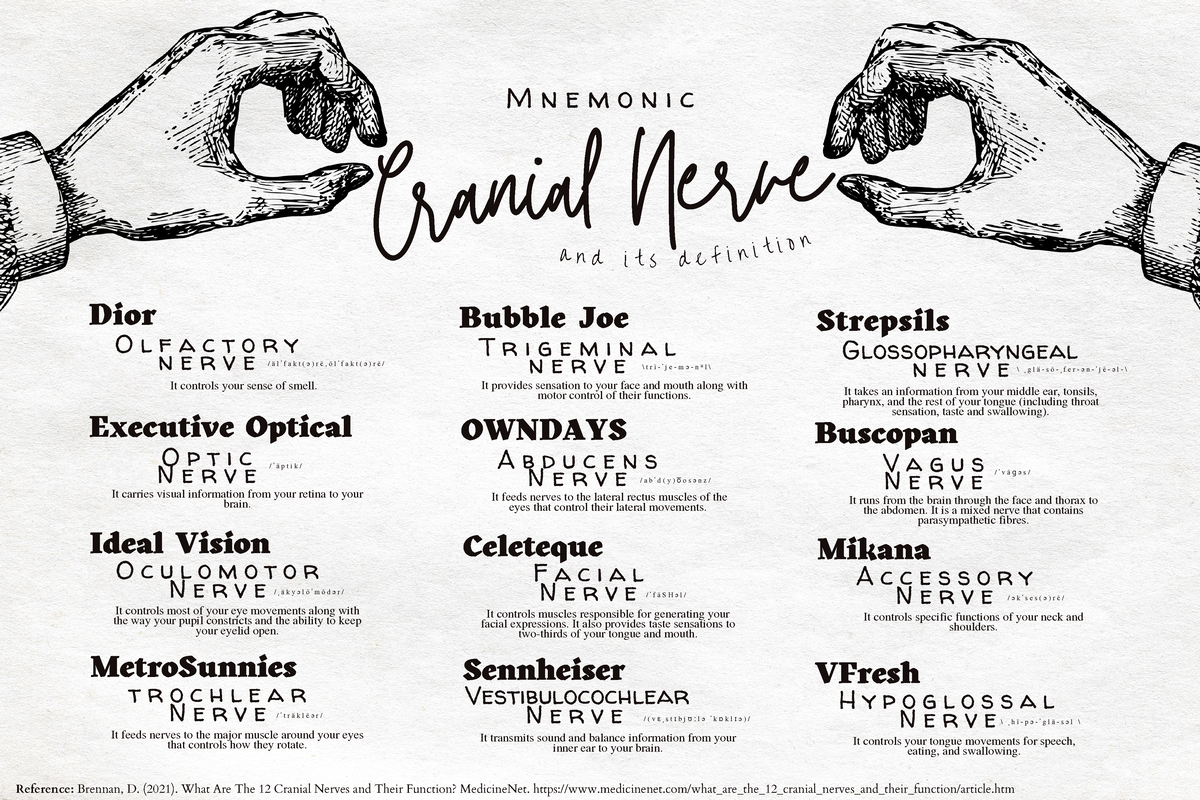 Mnemonic Of 12 Cranial Nerves; Molina, Ricardo, Jr. B - Cranial Nerve M ...