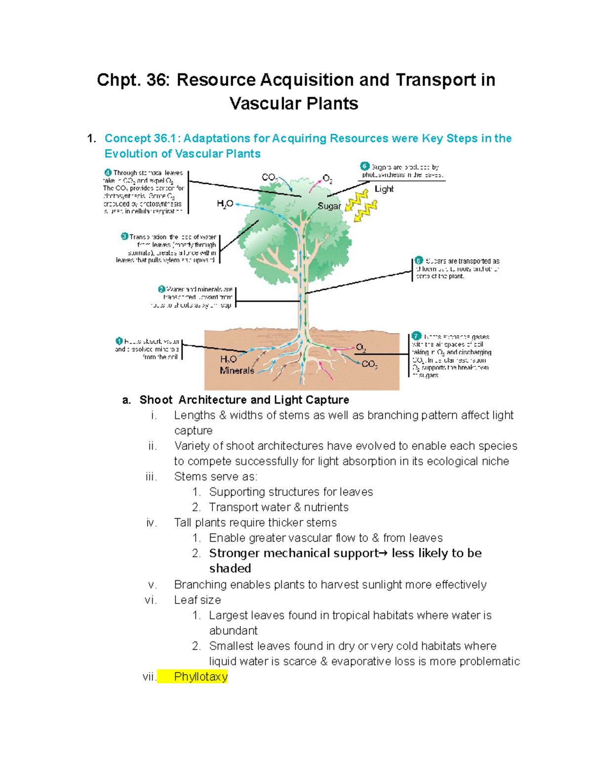 BIO 116 notes-11 - chapter notes - Chpt. 36: Resource Acquisition and ...