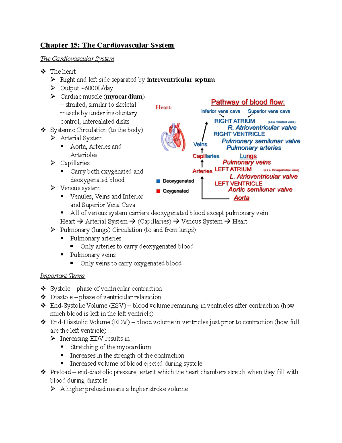 Midterm Notes (Chapters 15, 16, 17/21, 12, 13 - Chapter 15: The ...