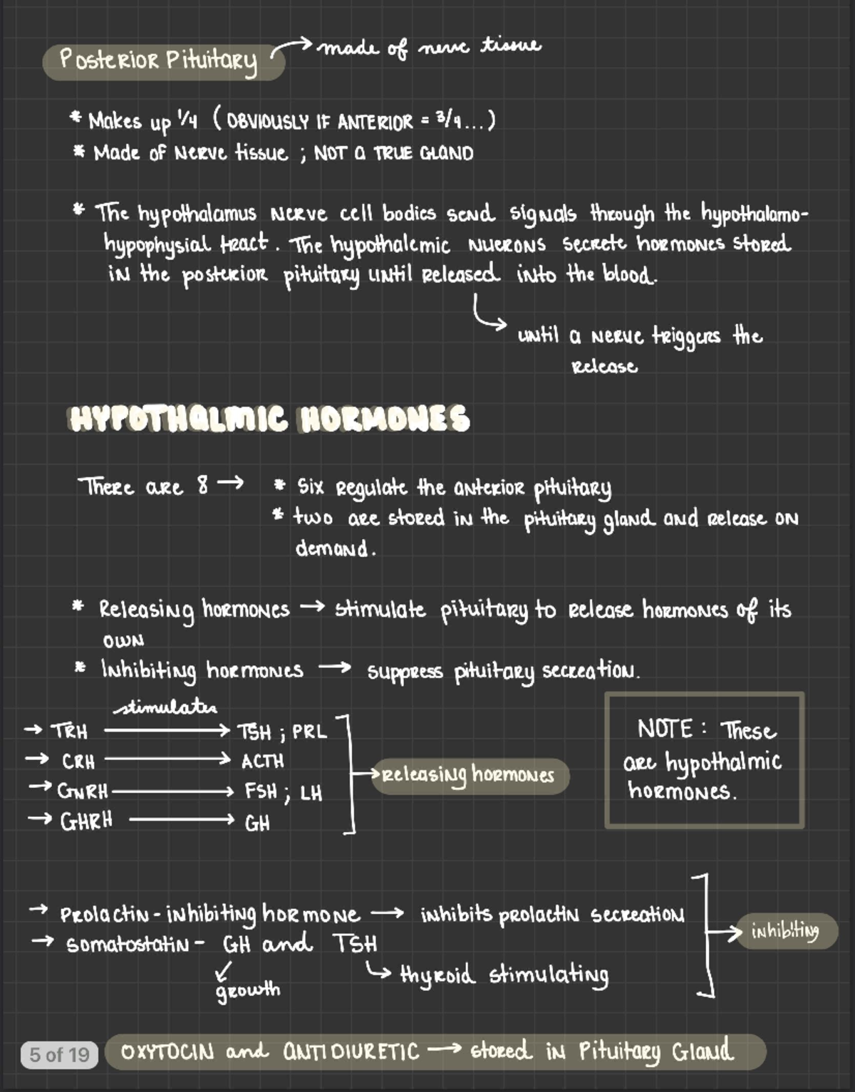 Hypothalmic Hormones - BSC2086 - Studocu