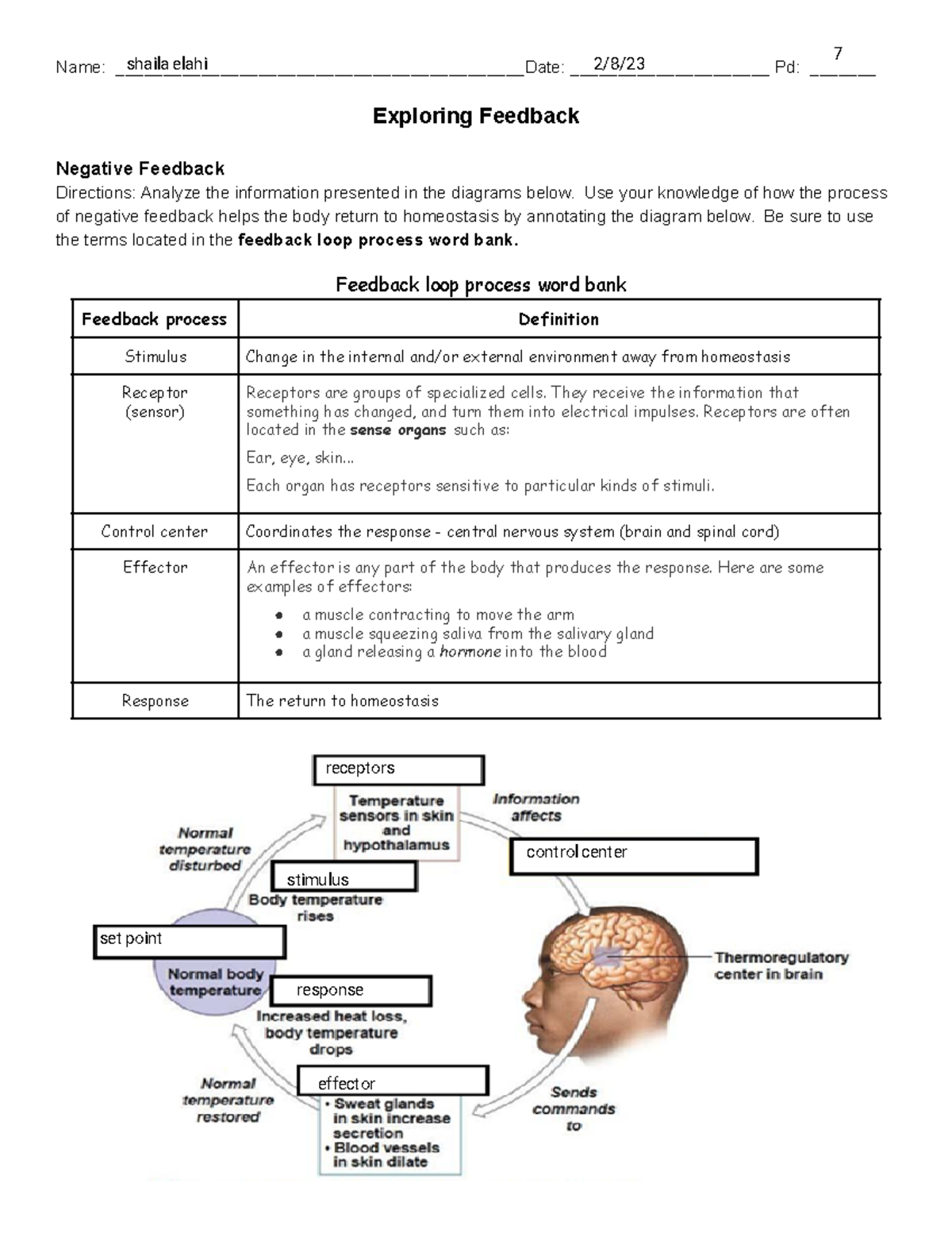 Shaila Elahi - Exploring Feedback Modified - student copy - Name: - Studocu