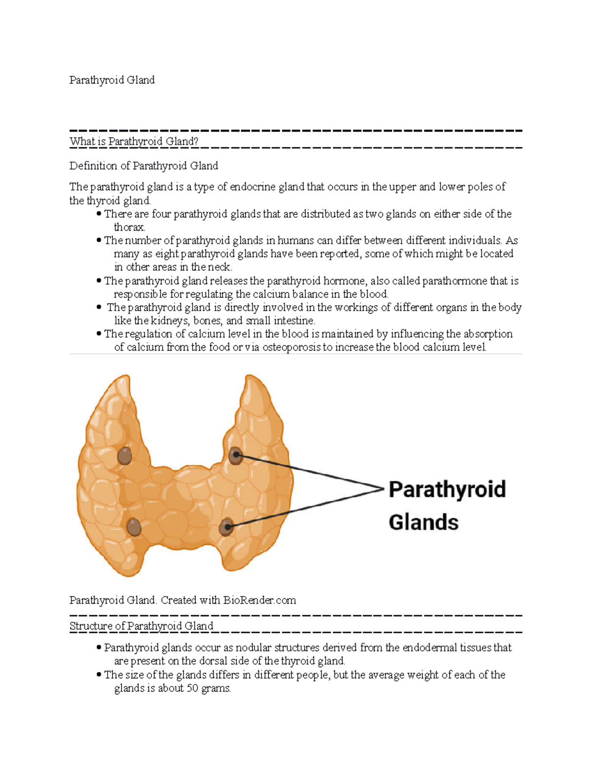 parathyroid-gland-notes-parathyroid-gland-what-is-parathyroid-gland