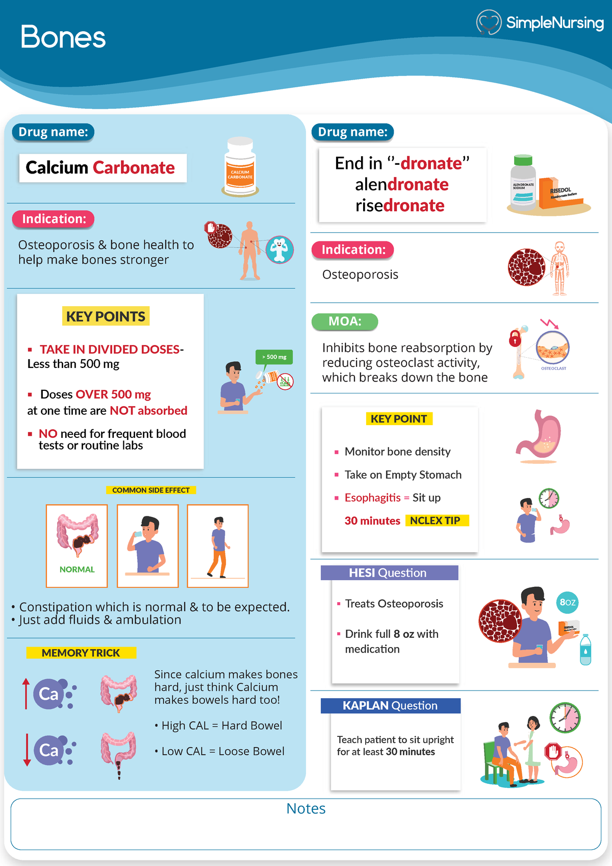 Muscoskeletal - Cheat sheet cards-Pharmacology - Bones Notes Indication ...