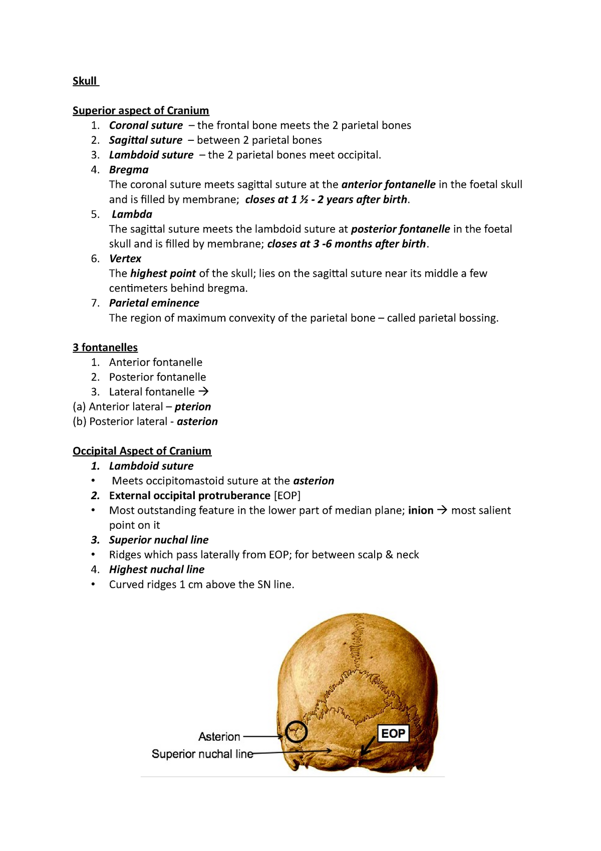 Skull - Skull Superior aspect of Cranium 1. Coronal suture – the ...