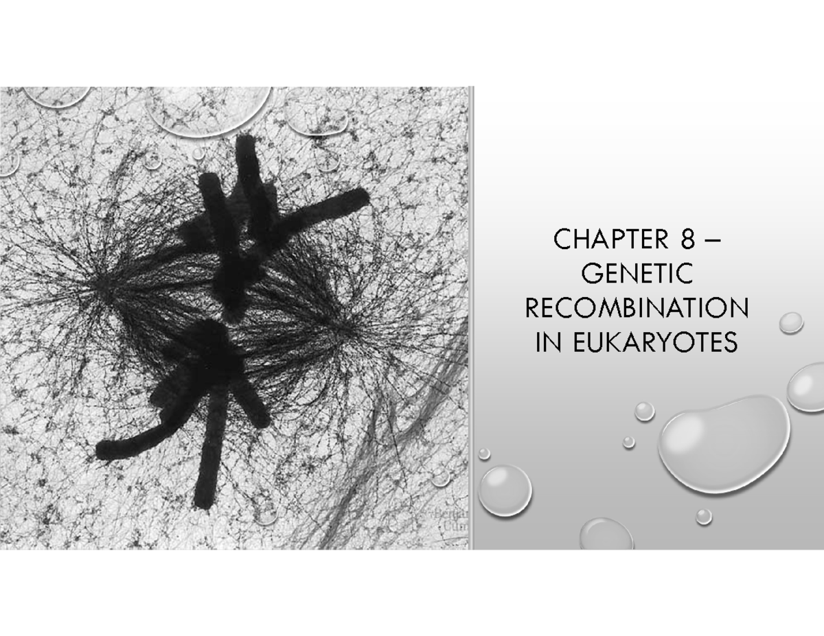 Bio120+-+Chapter+8+Notes - CHAPTER 8 – GENETIC RECOMBINATION IN ...