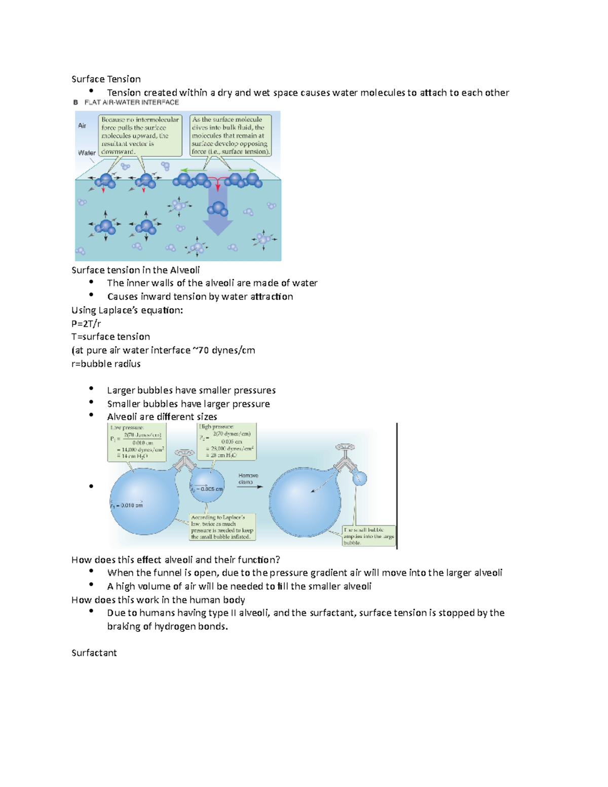 Resp 1 Module 5 N/A Surface Tension Tension created within a dry and wet space causes water