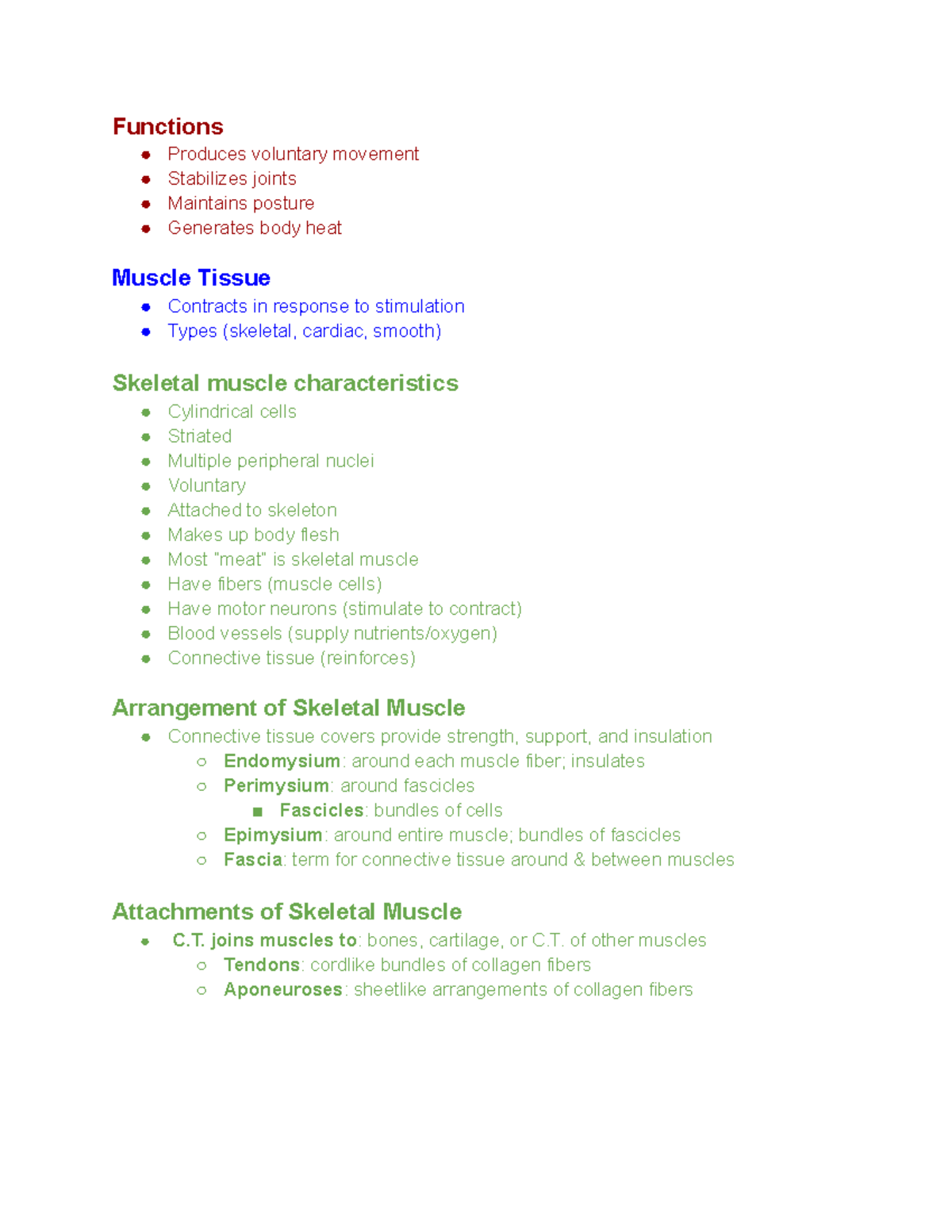 Muscle system - Functions Produces voluntary movement Stabilizes joints ...