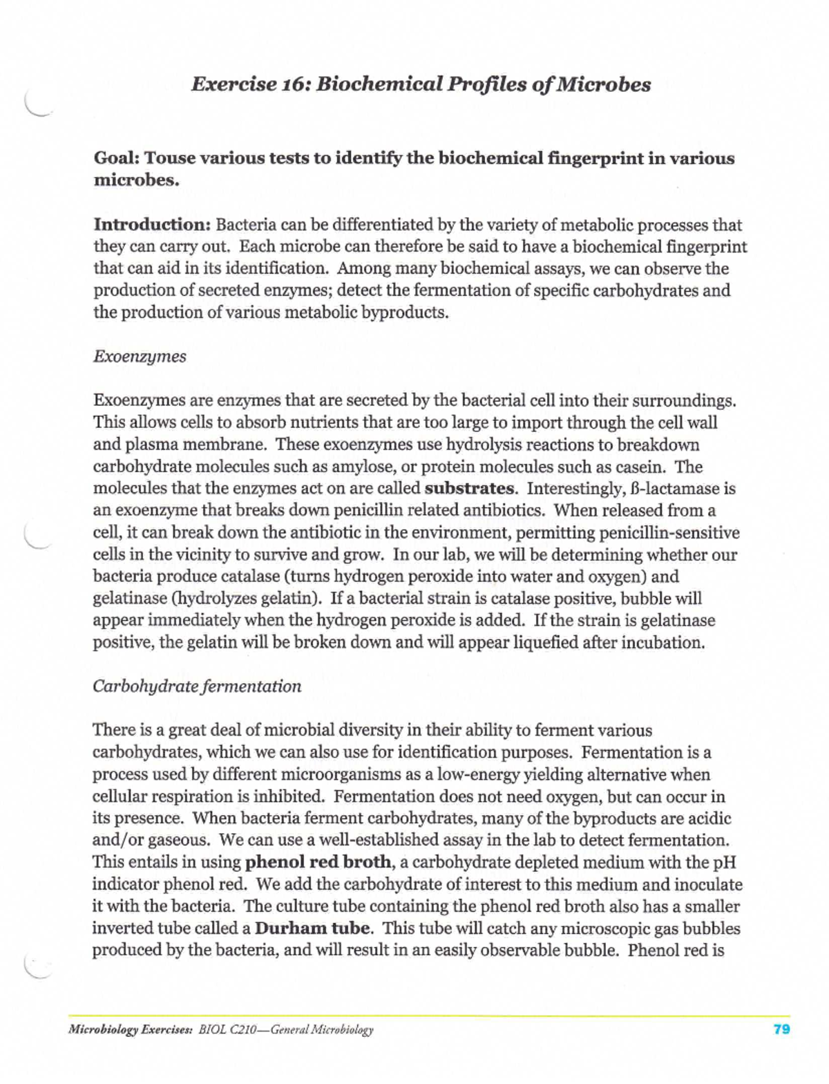 Coastline Micro Lab 16 MBIO 222 Studocu