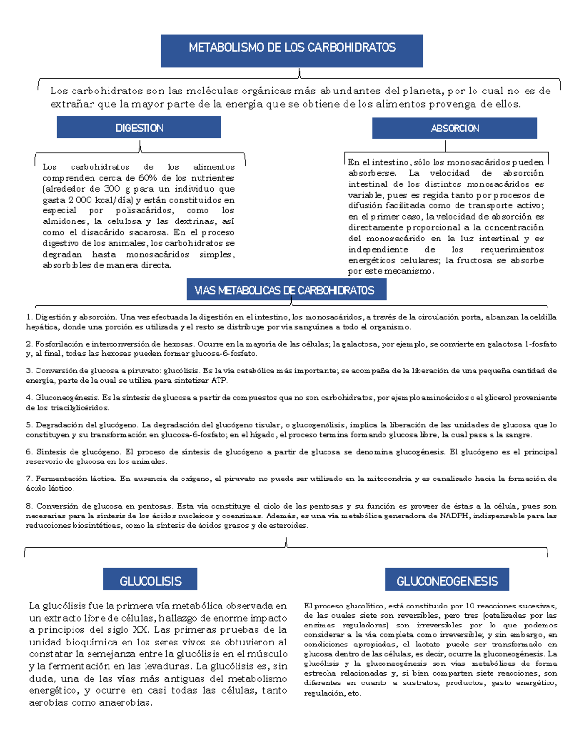 Capitulo 18 Bioquímica De Laguna Y Piña 2021 Metabolismo De Los Carbohidratos Los 0579