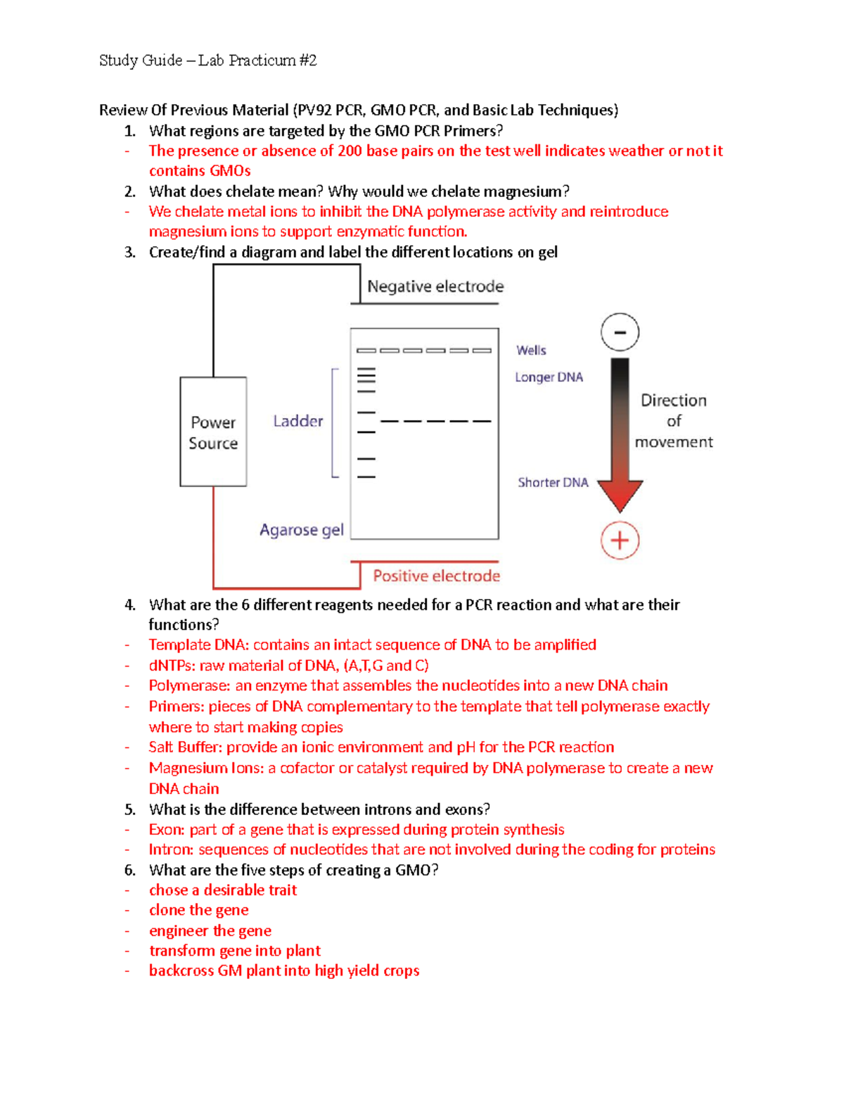 Lab Exam 2 Study Guide.docx Review Of Previous Material