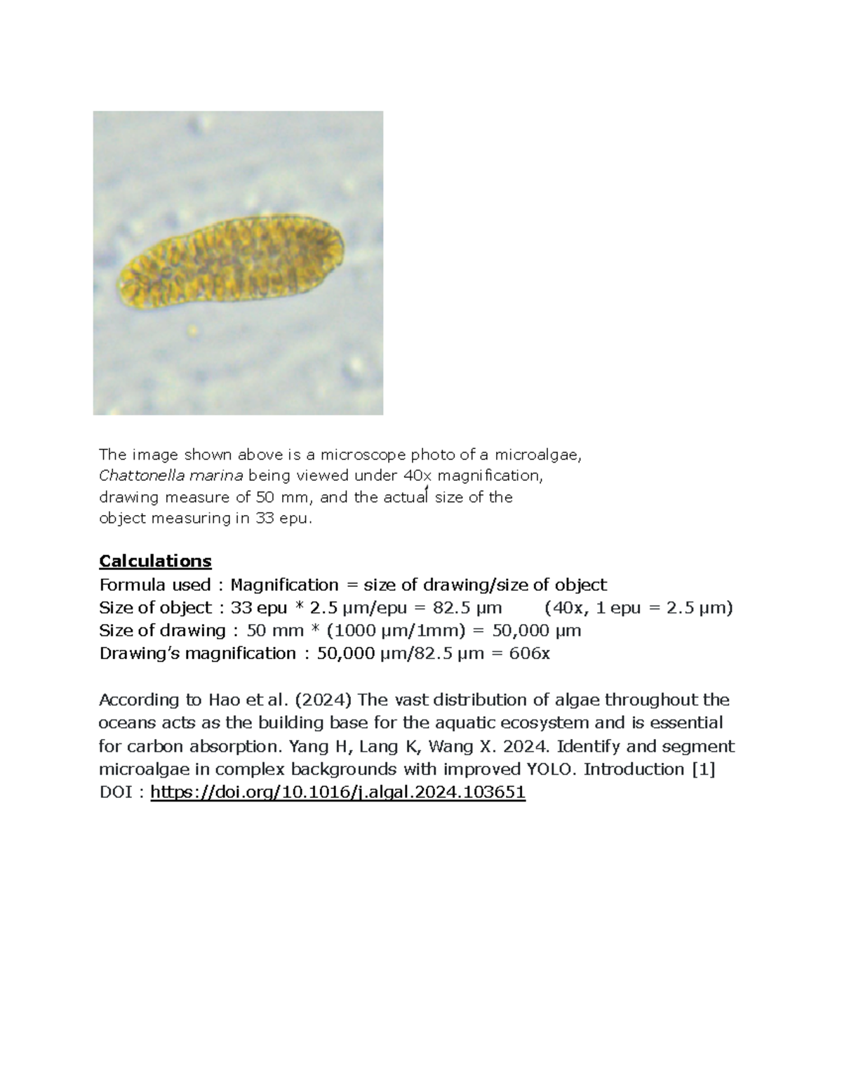 BIOL assignment The image shown above is a microscope photo of a