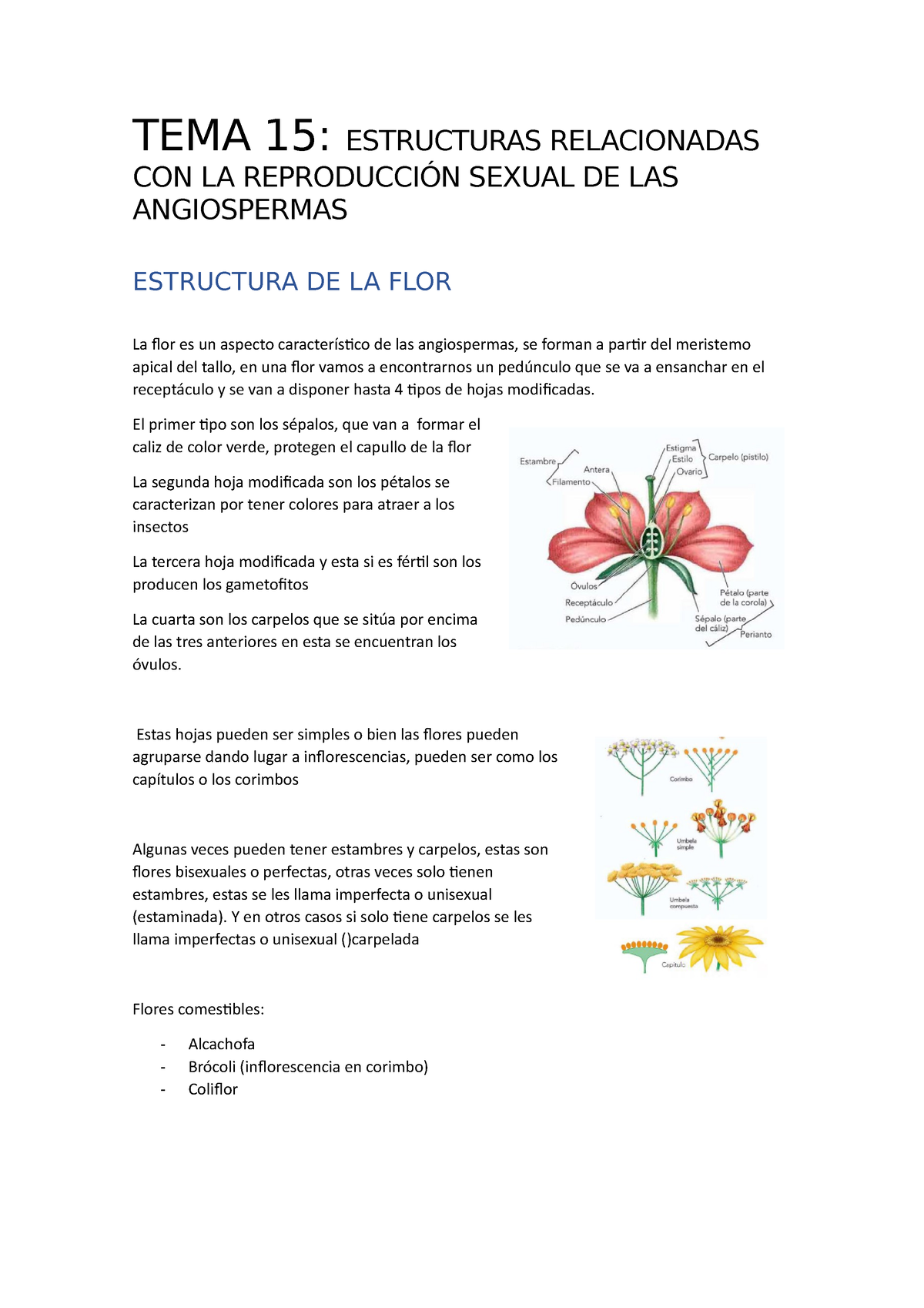 Tema 15 Estructuras Sexuales De Las Angiospermas Tema 15 Estructuras