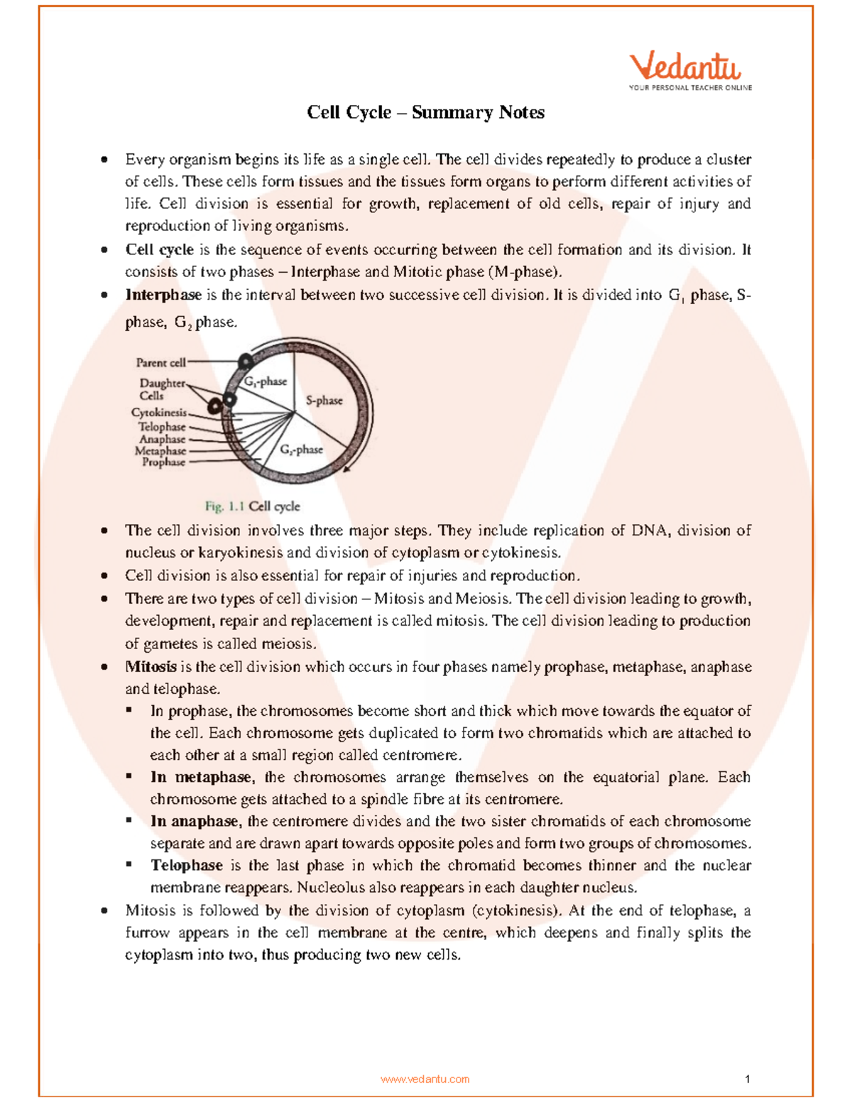 Class 10 Biology Chapter 2 Revision Notes - Cell Cycle – Summary Notes ...
