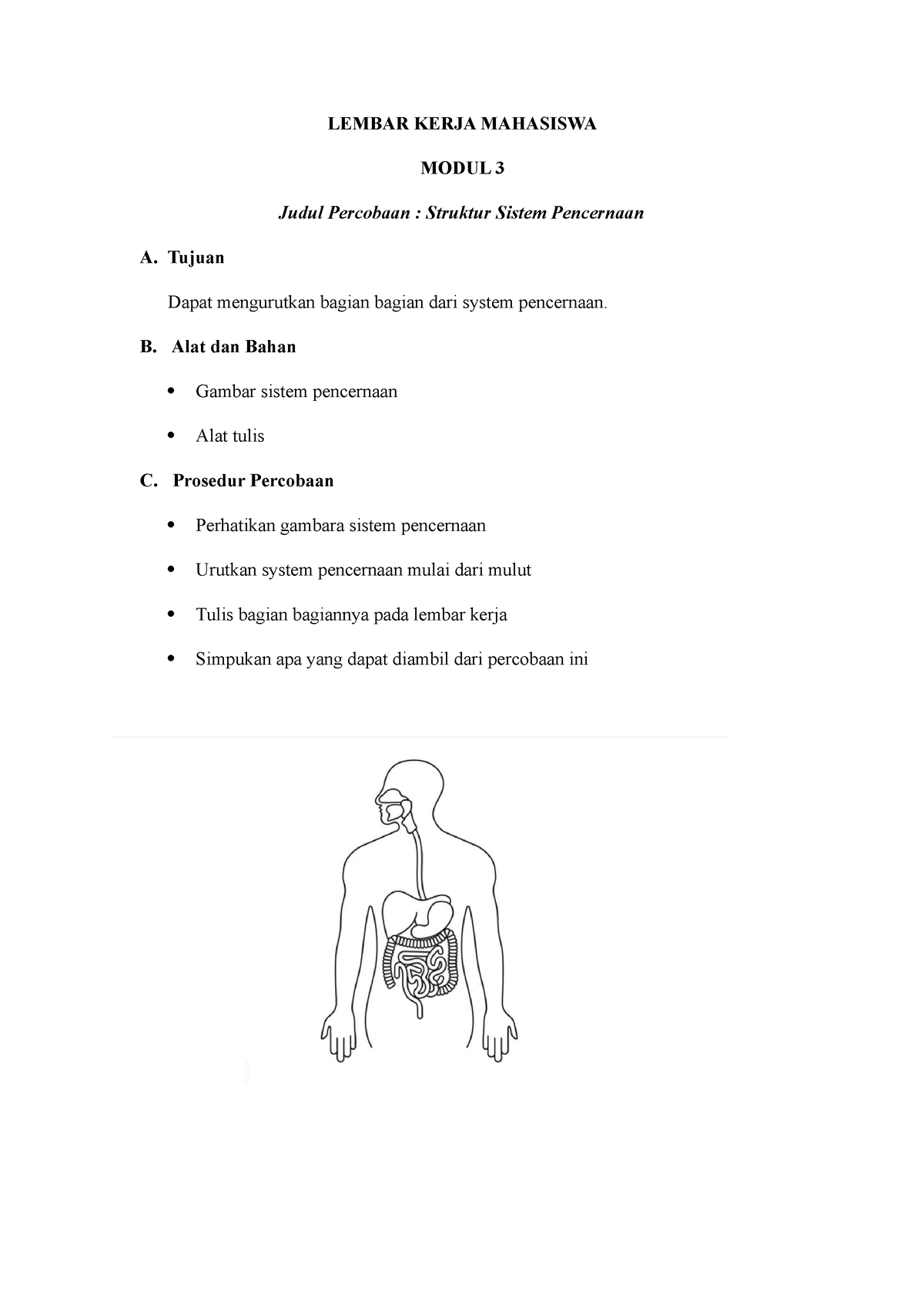 Pencernaan - Praktikum Ipa Di Sd - LEMBAR KERJA MAHASISWA MODUL 3 Judul ...