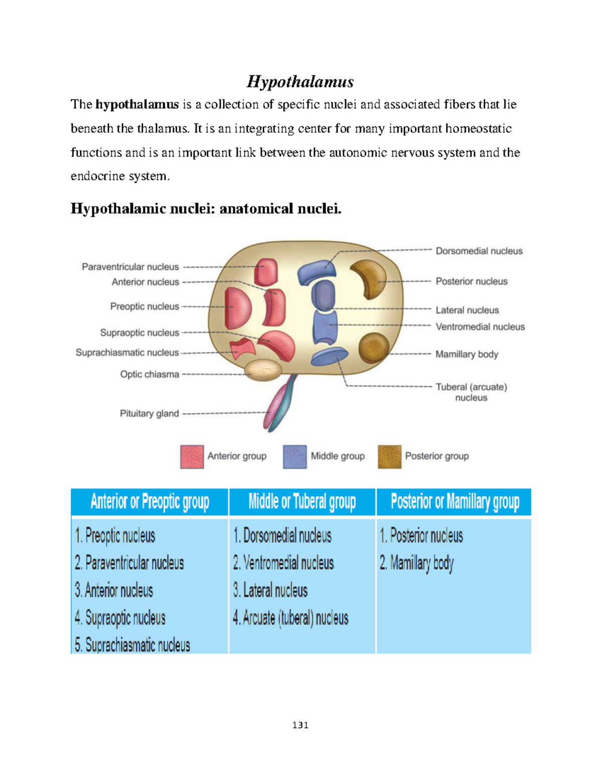 NEU physio-Hypothalamus - Hypothalamus The hypothalamus is a collection ...